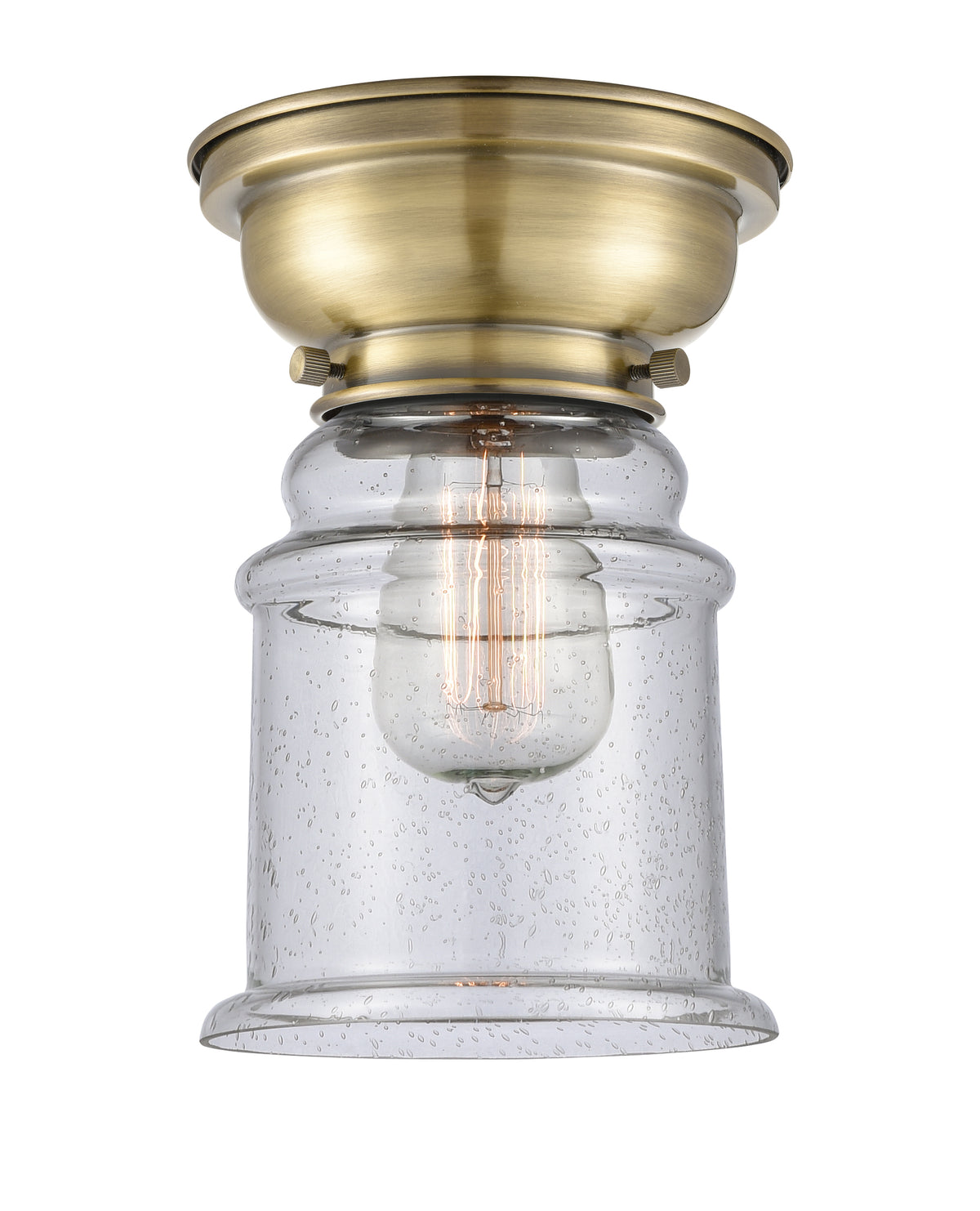 Canton 6-Inch 1-Light Flush Mount with LED Bulb