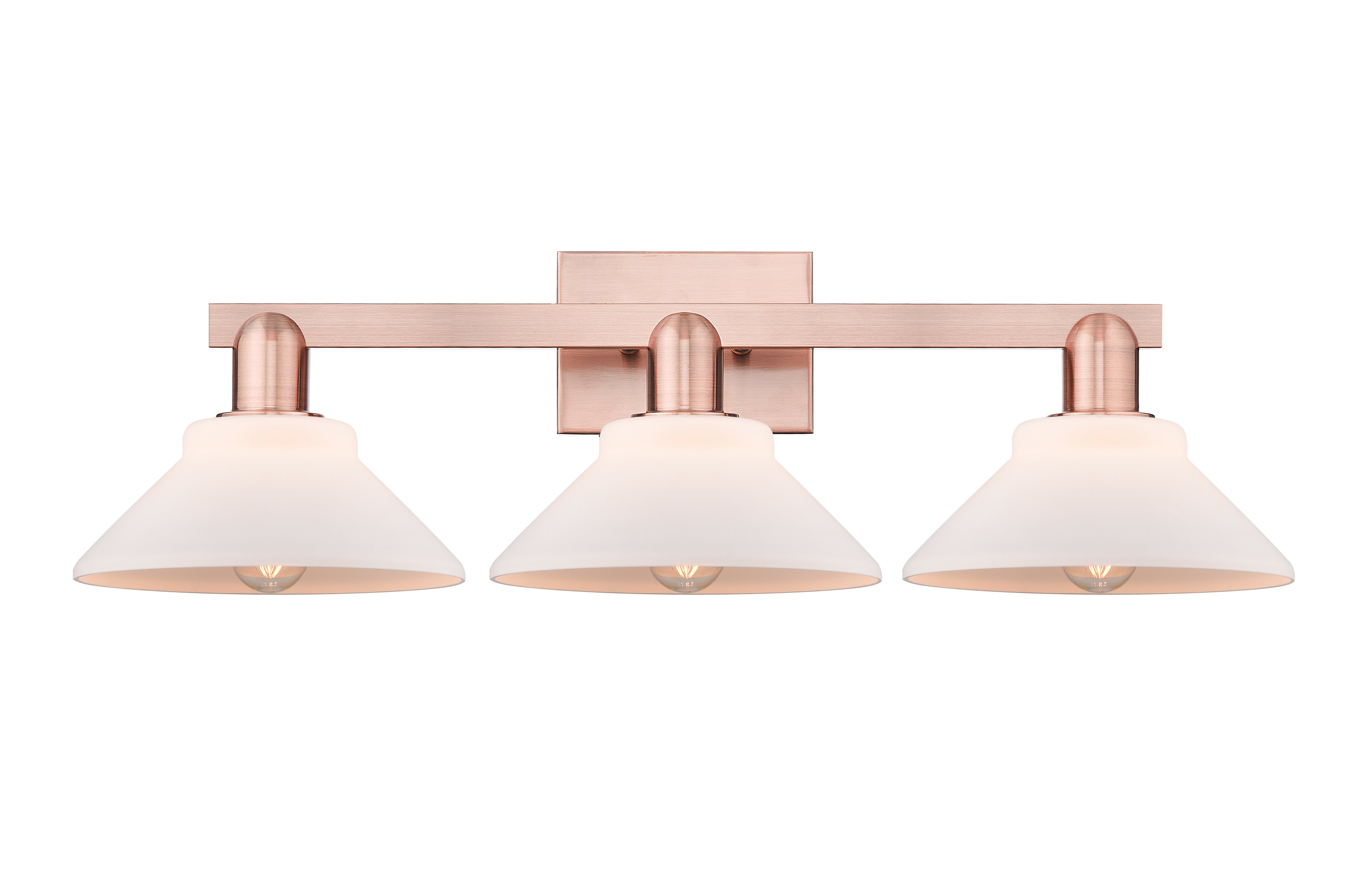 Arcadia Bath Vanity Light Cast Brass Steel