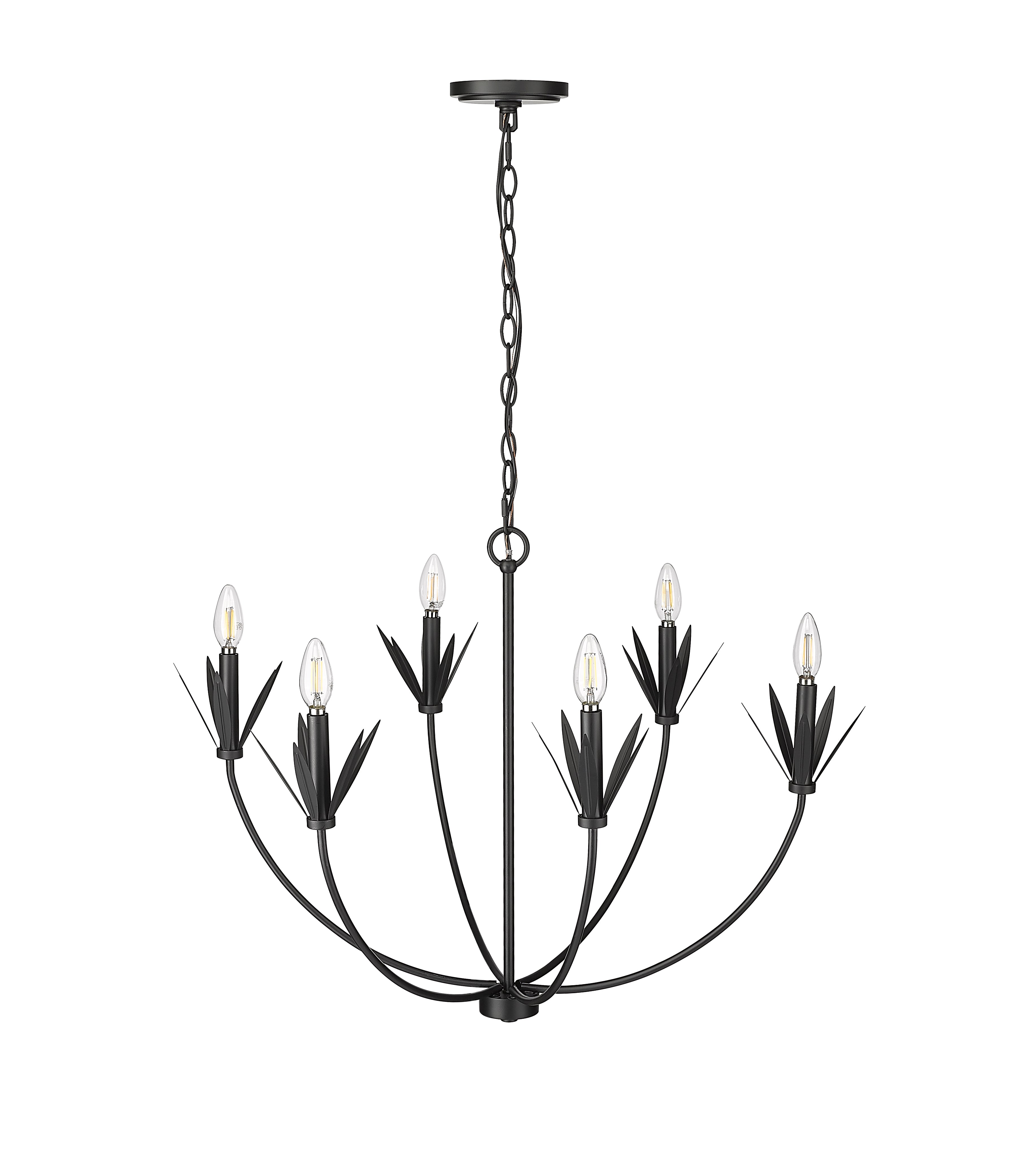 22.75'' Primrose Matte Black 6 Light Chandelier