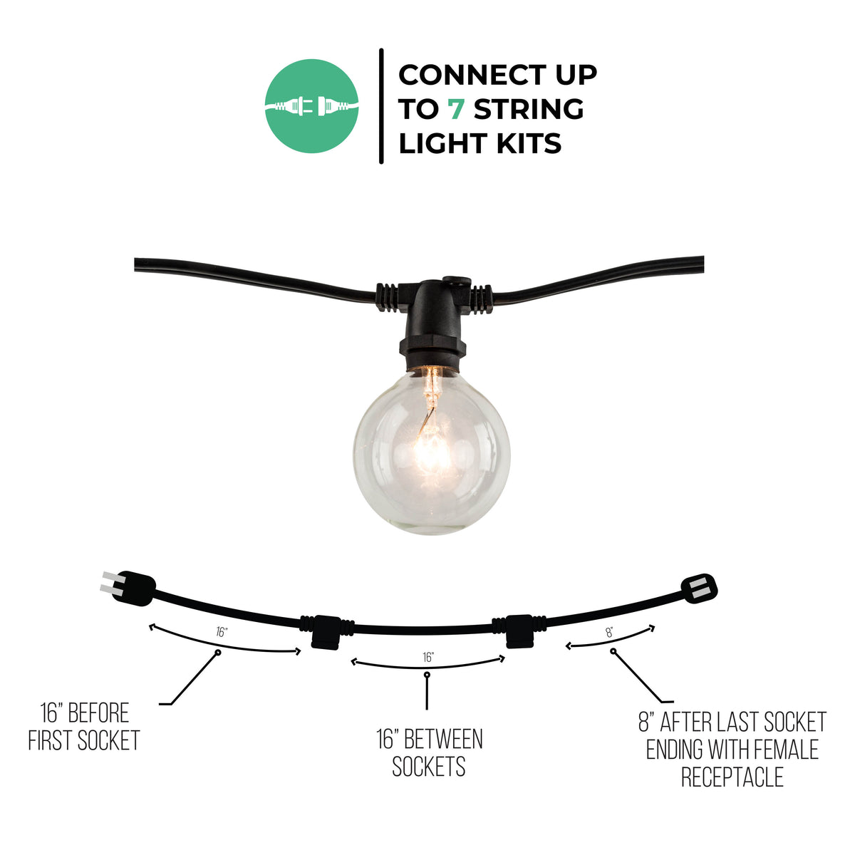 14-foot Black G16 Incandescent String Light Kit with 10 Sockets, 2700K, 2-Pack