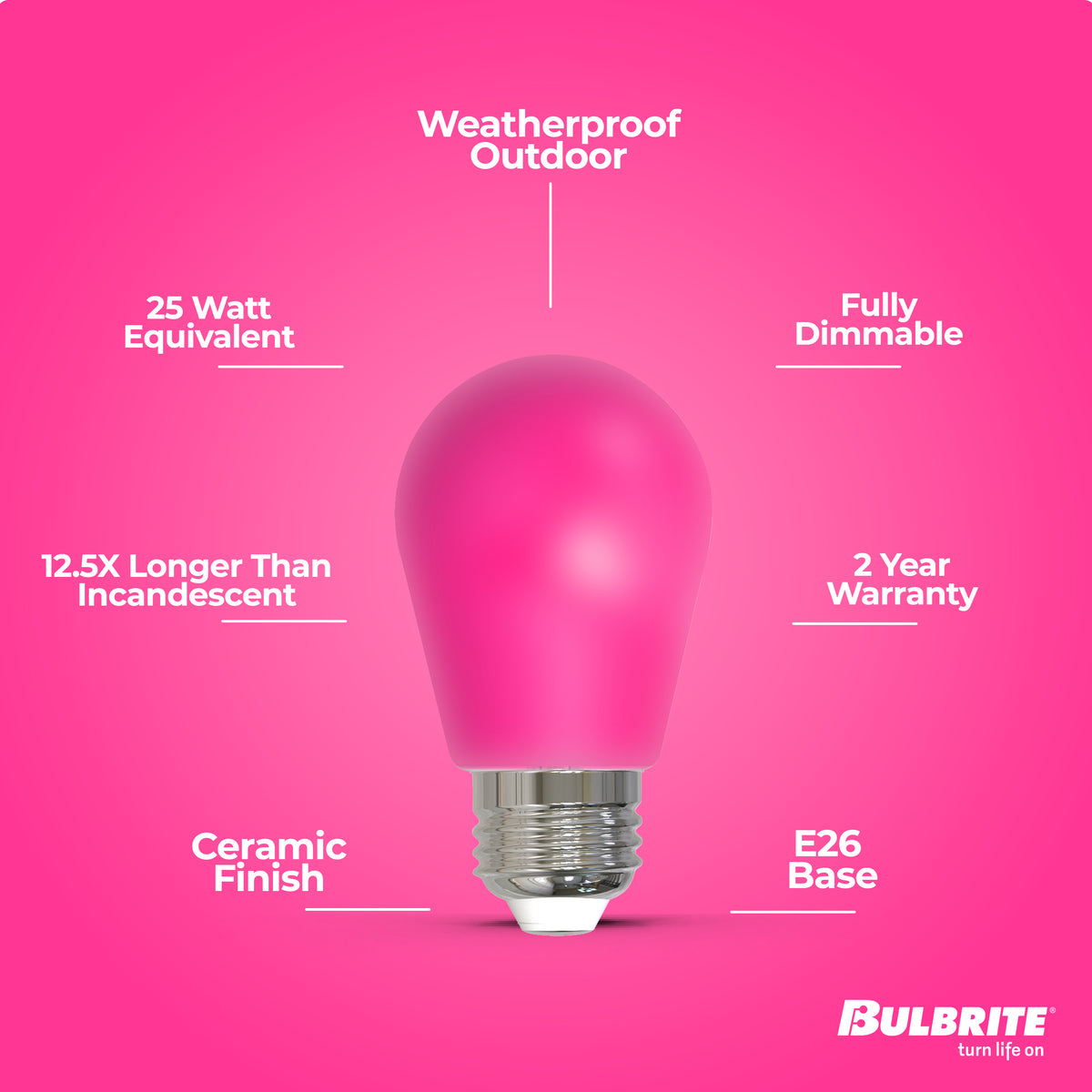 S14 2.5W Dimmable Pink Filament LED Light Bulb with E26 Base, 10-Pack