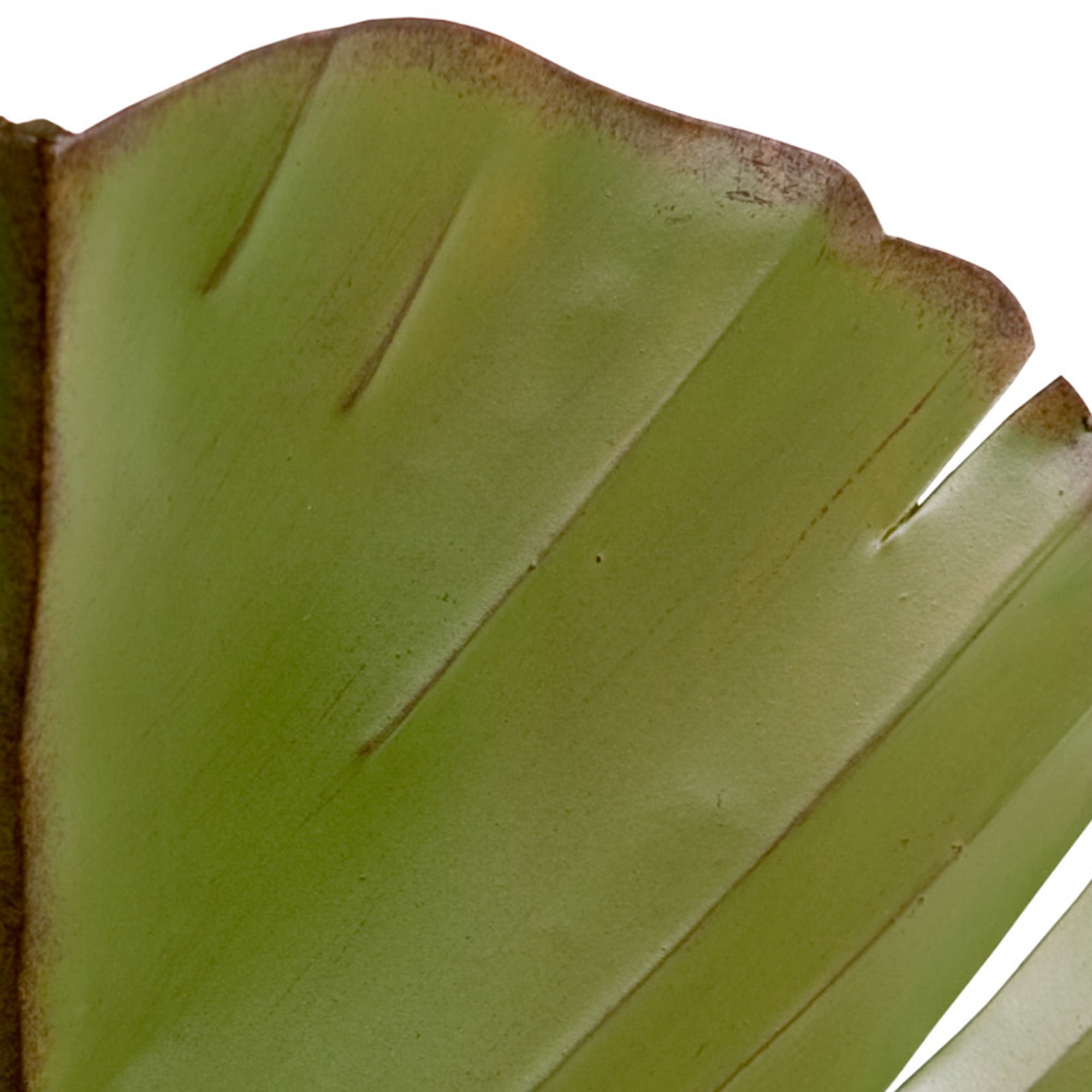 Banana Leaf 2 Light Wall Sconce