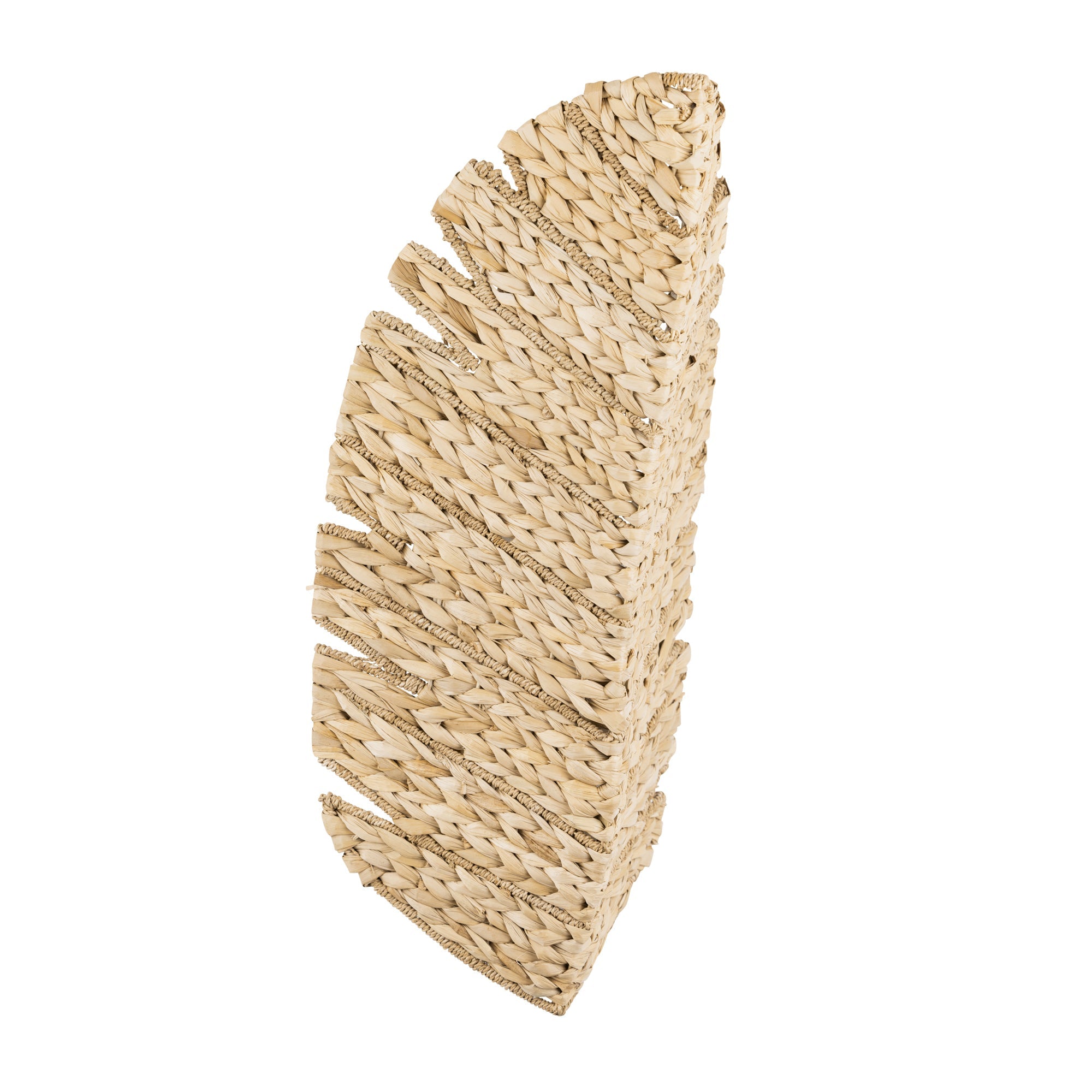 Banana Leaf 3 Light Tall Wall Sconce
