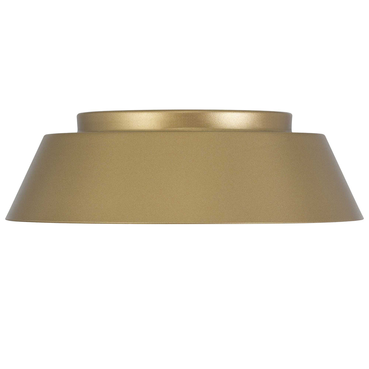 11-Inch Painted Brass Pez Outdoor LED Flush Mount