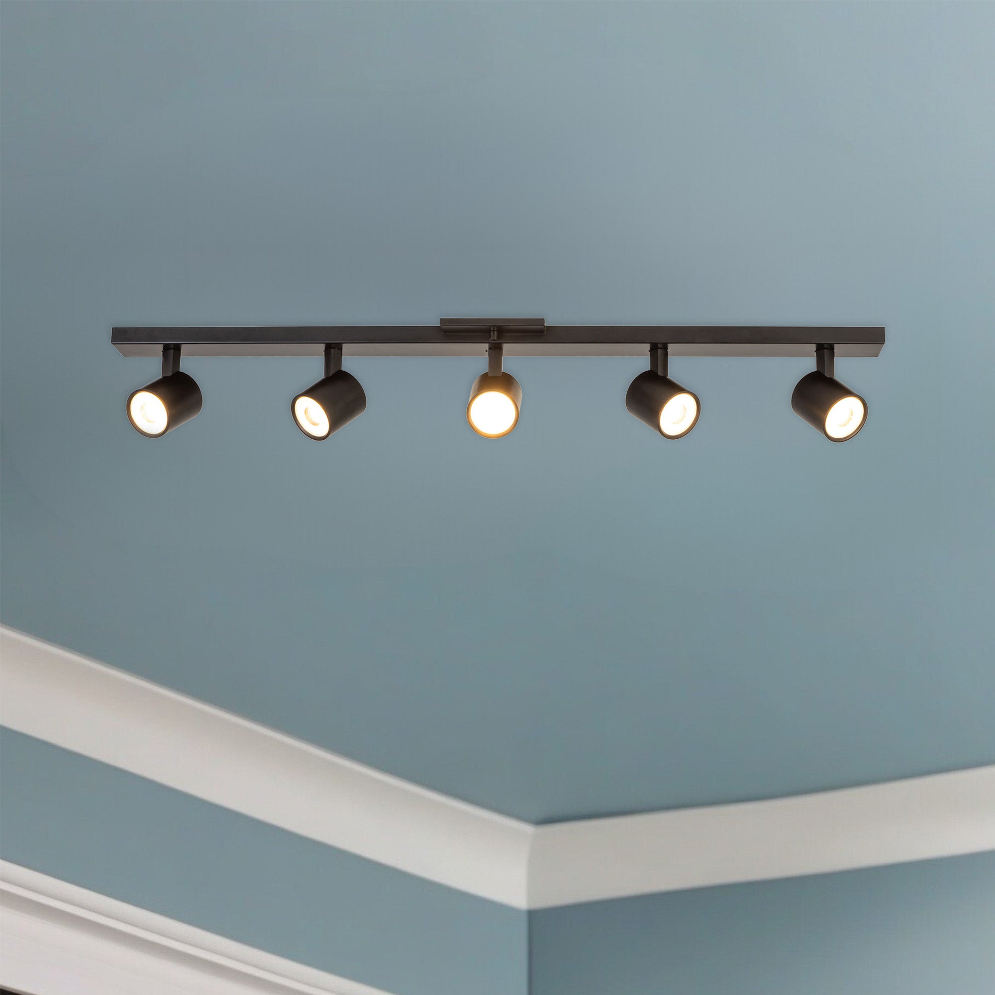 Arnold 5-Head Aluminum Track Light