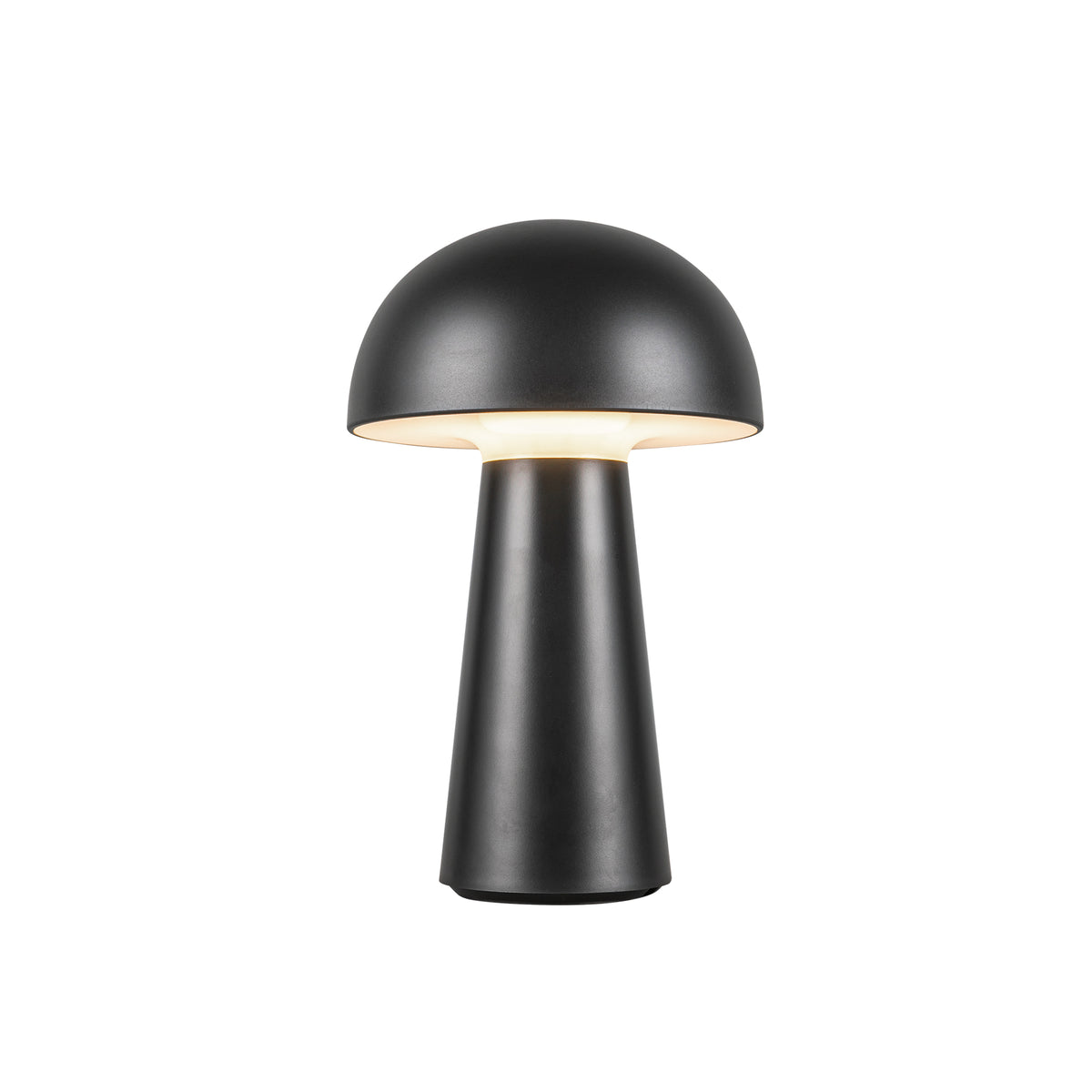 Asher 8-in Polymeric Material Table Lamp