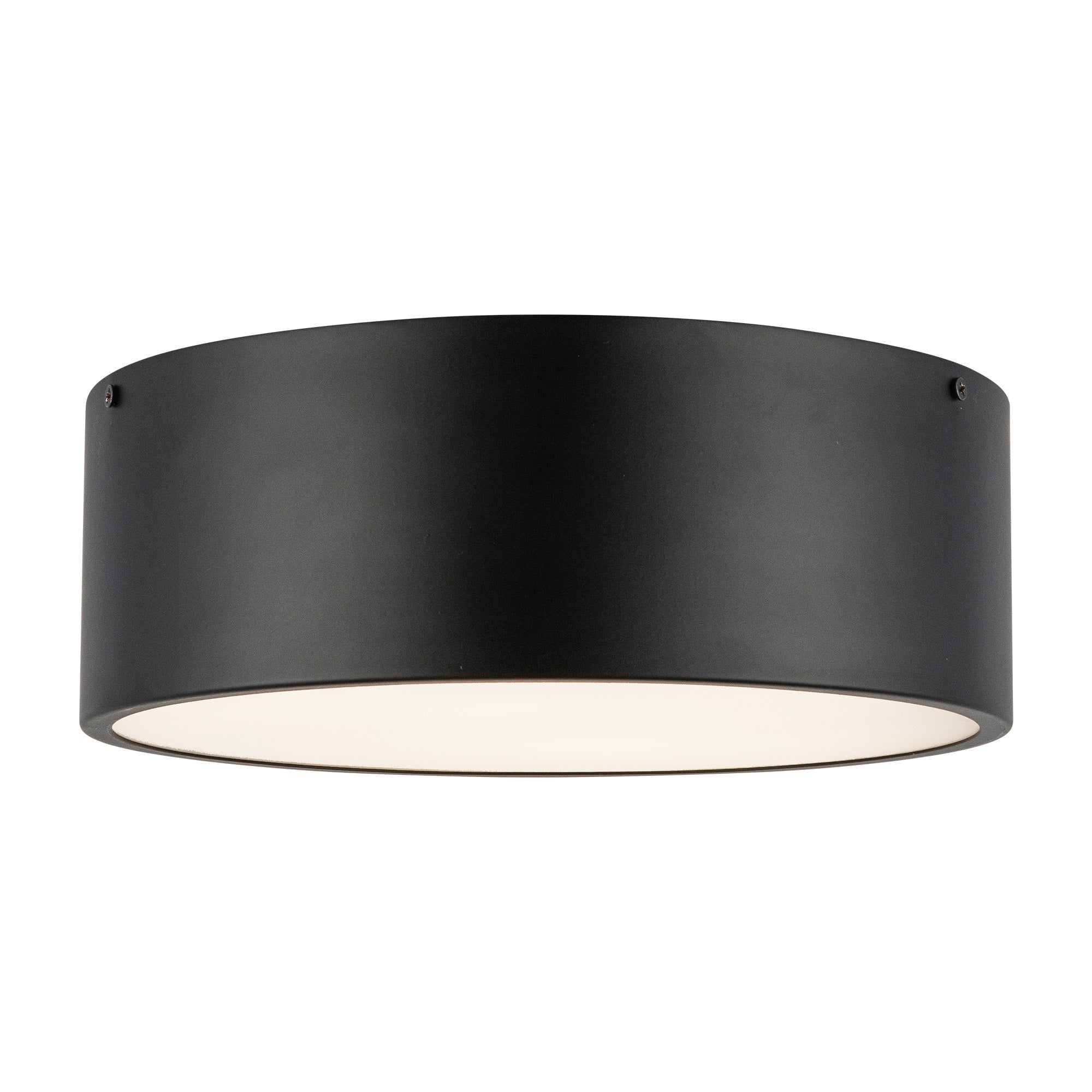 brisbane-12-in-2-lights-steel-flush-mount