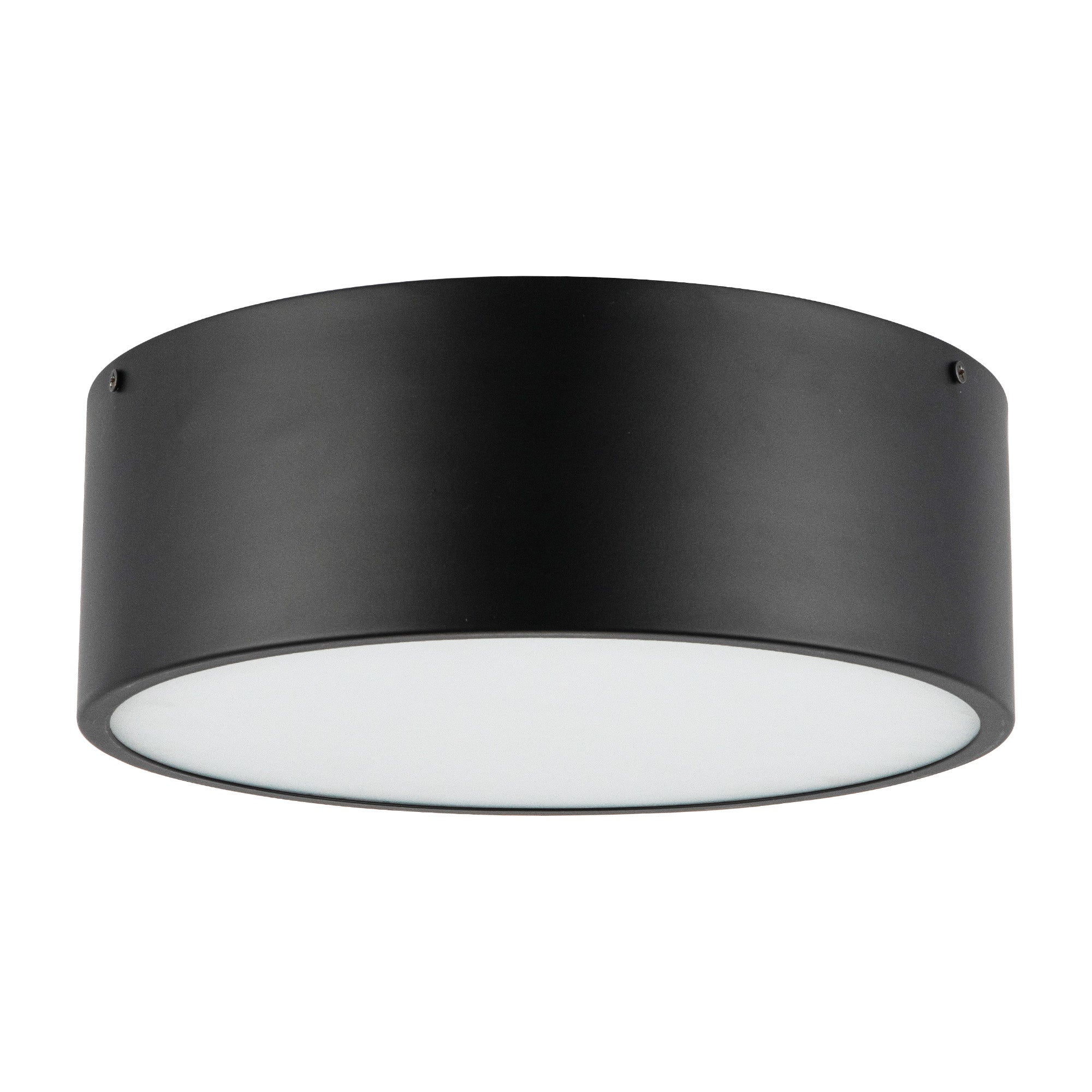 Brisbane 12-in 2 lights Steel Flush Mount