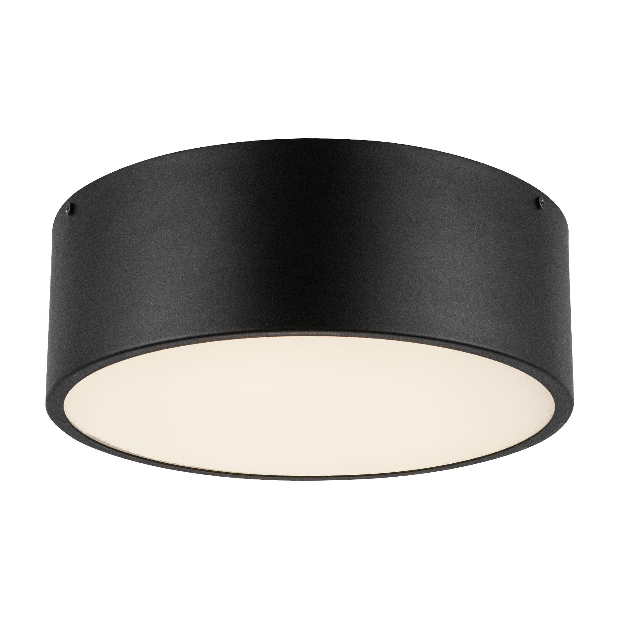 Brisbane 12-in 2 lights Steel Flush Mount