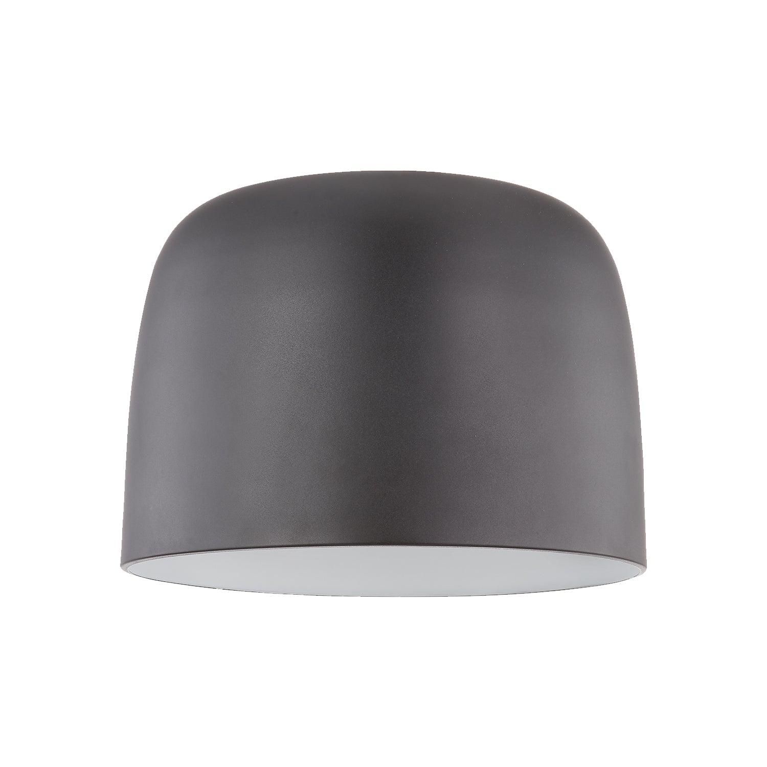 Cayne 12-in Steel Flush Mount