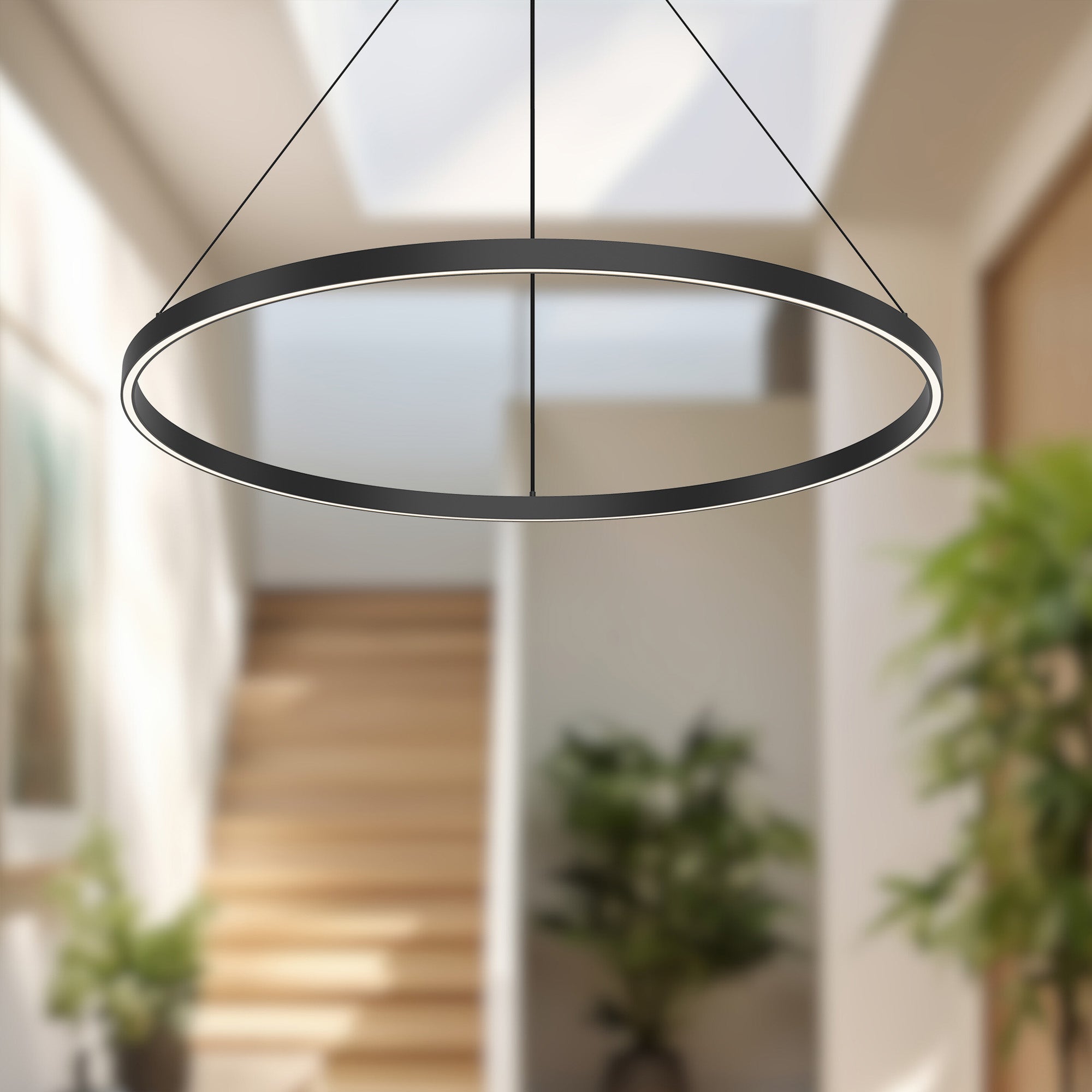 Cerchio 36-in Dimmable LED Downlight Pendant