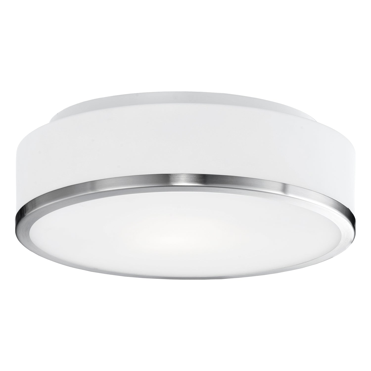 Charlie 12-in Steel Flush Mount
