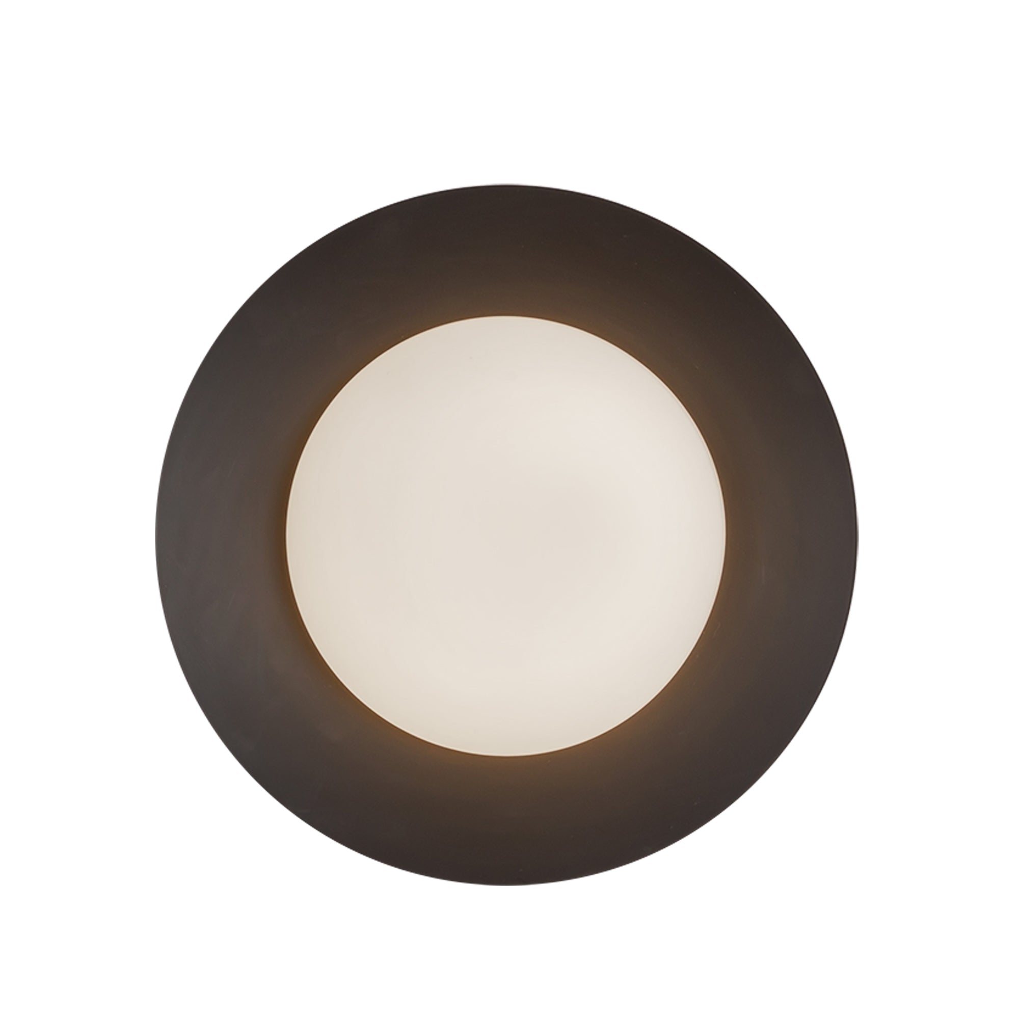 Cleo 9-in Steel Wall Sconce