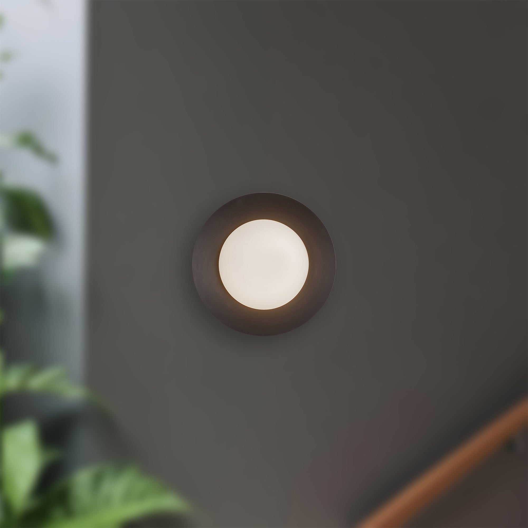 Cleo 9-in Steel Wall Sconce