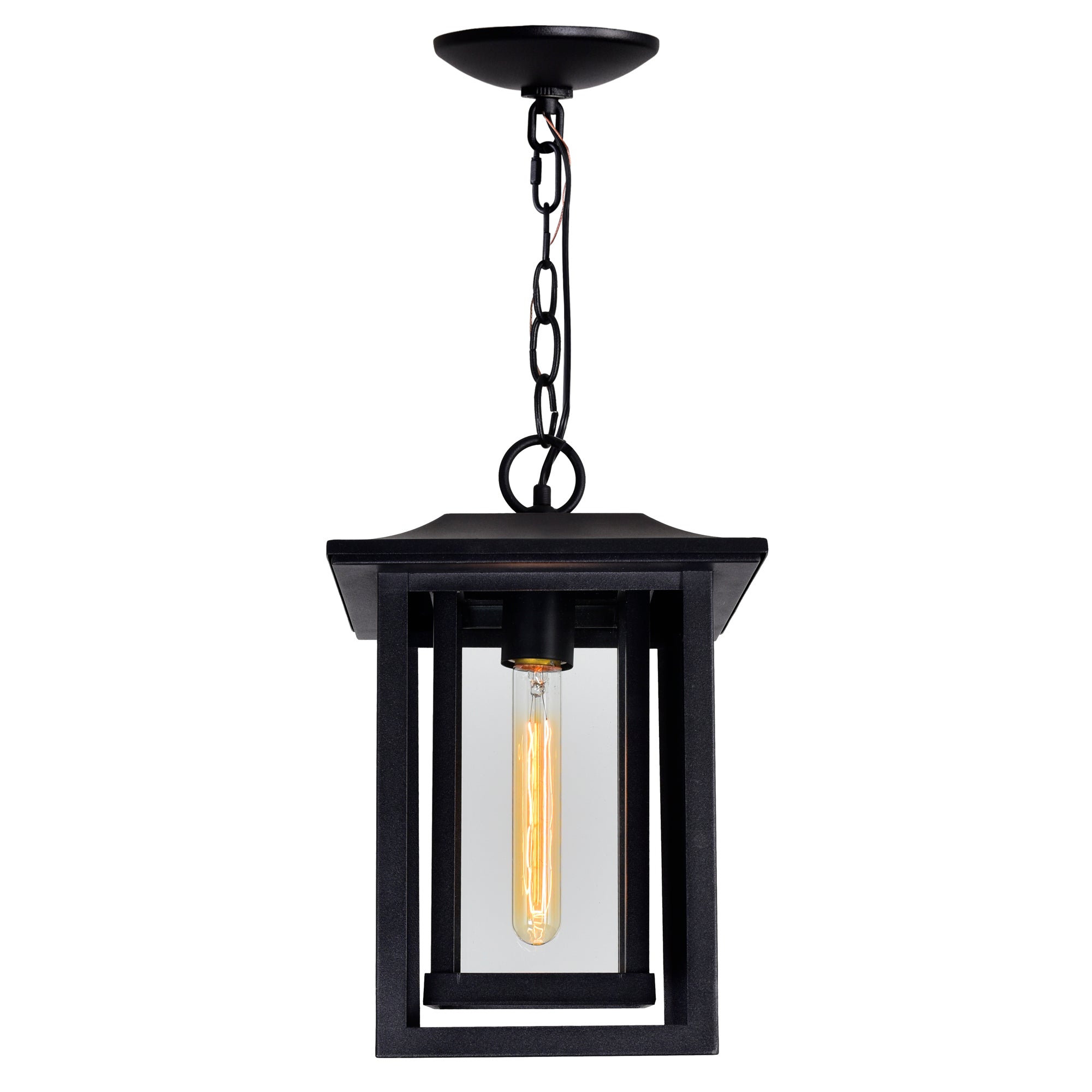 Winfield 1 Light Black Outdoor Pendant Hanging Lantern