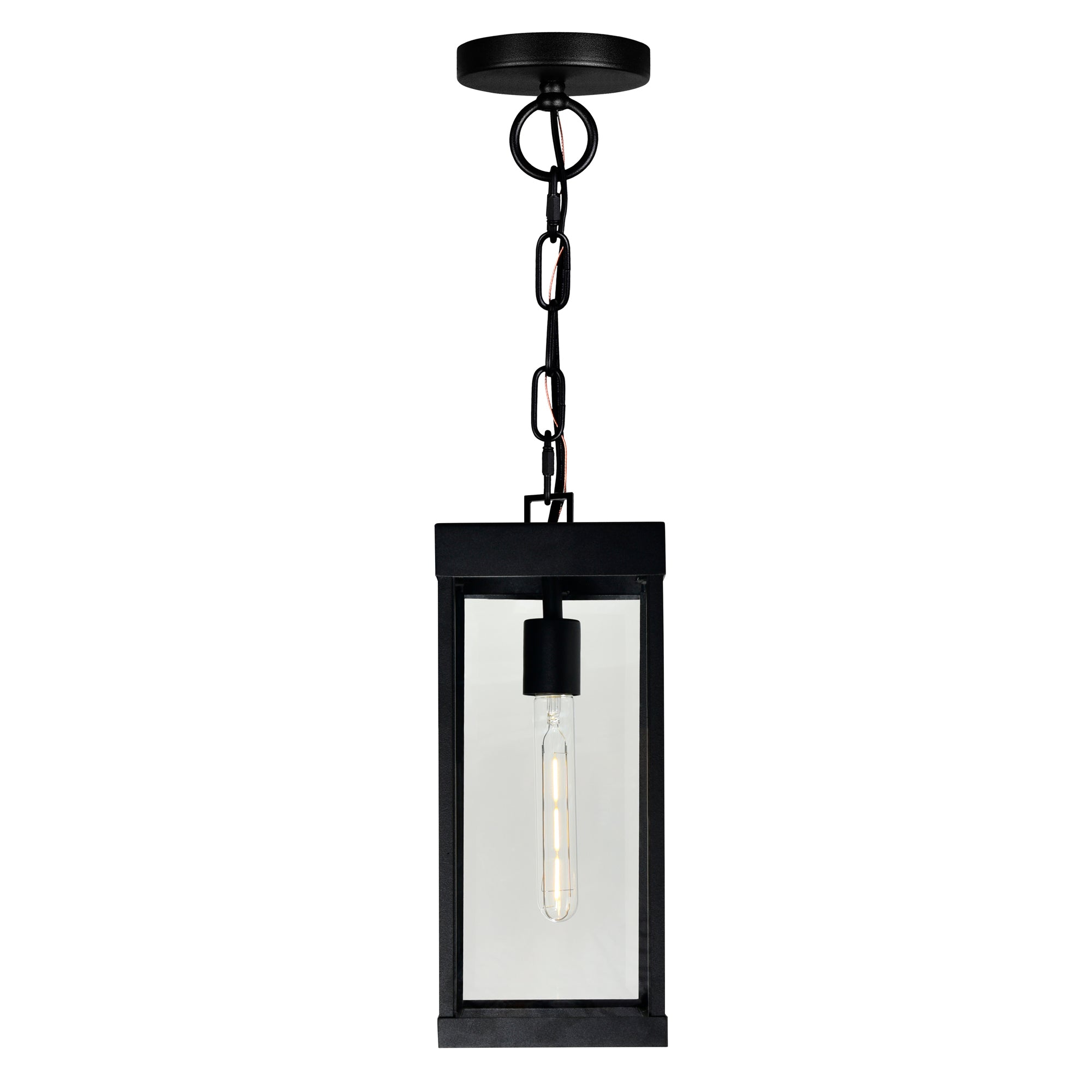 Windsor Outdoor Hanging Lights Black 1 Light