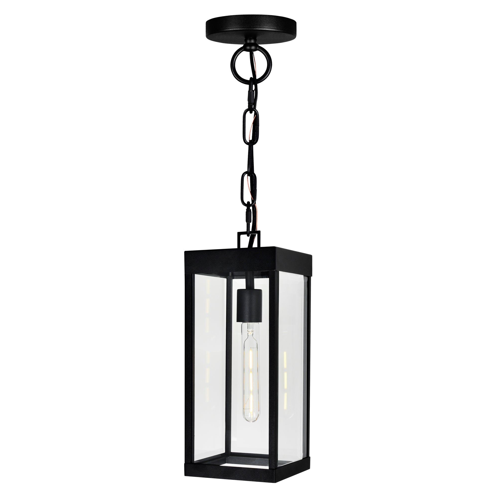 Windsor Outdoor Hanging Lights Black 1 Light