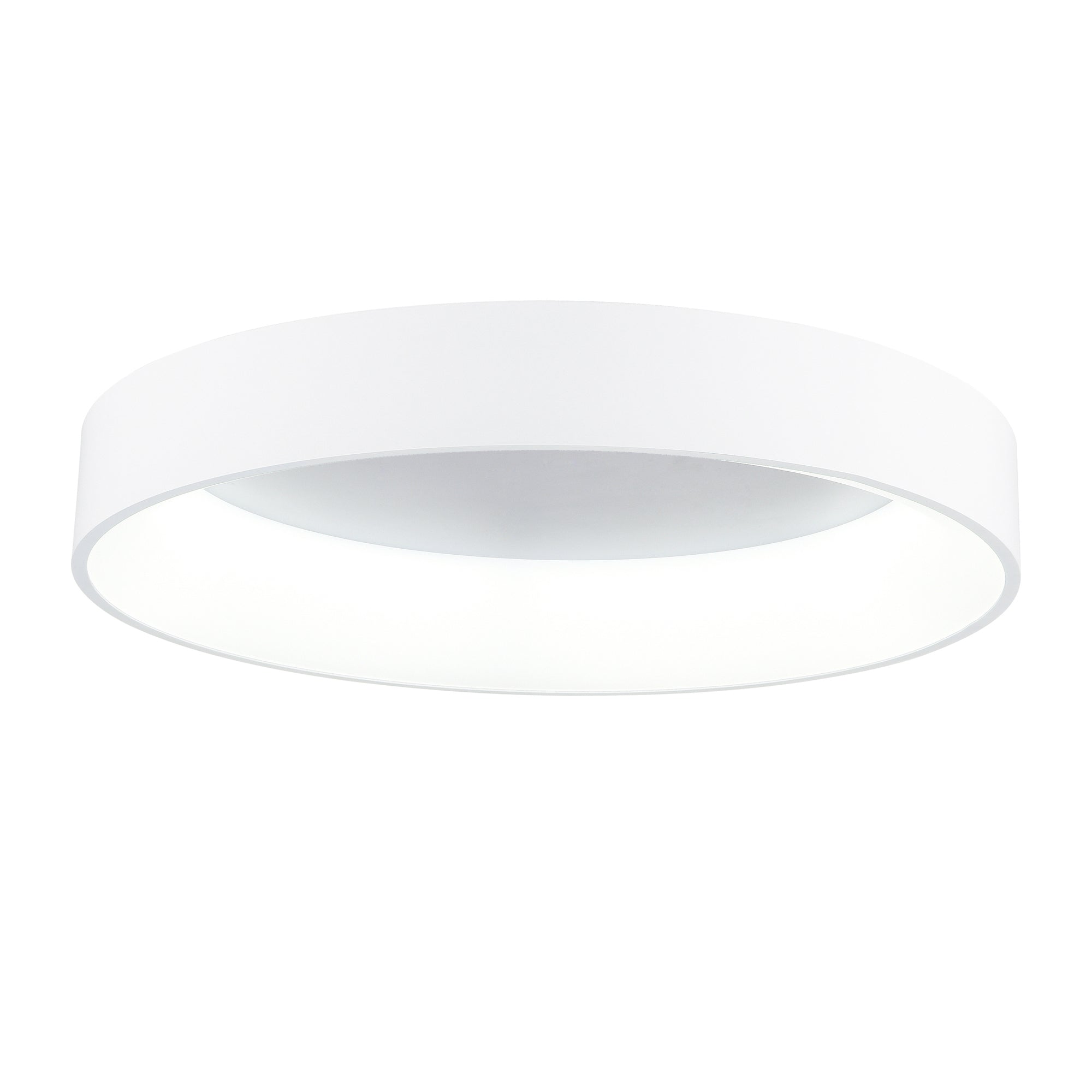 Arenal 1 Light 24 Inch Integrated LED White Flush Mount