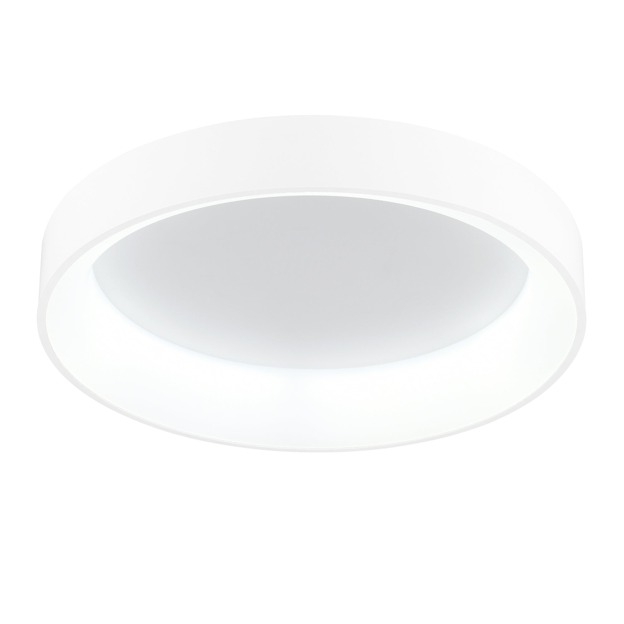 Arenal 1 Light 24 Inch Integrated LED White Flush Mount