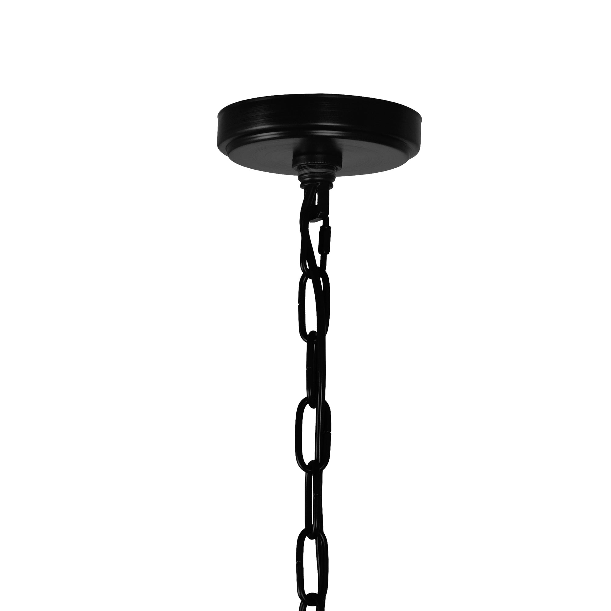 Padma 5 Light 21in Black Chandelier
