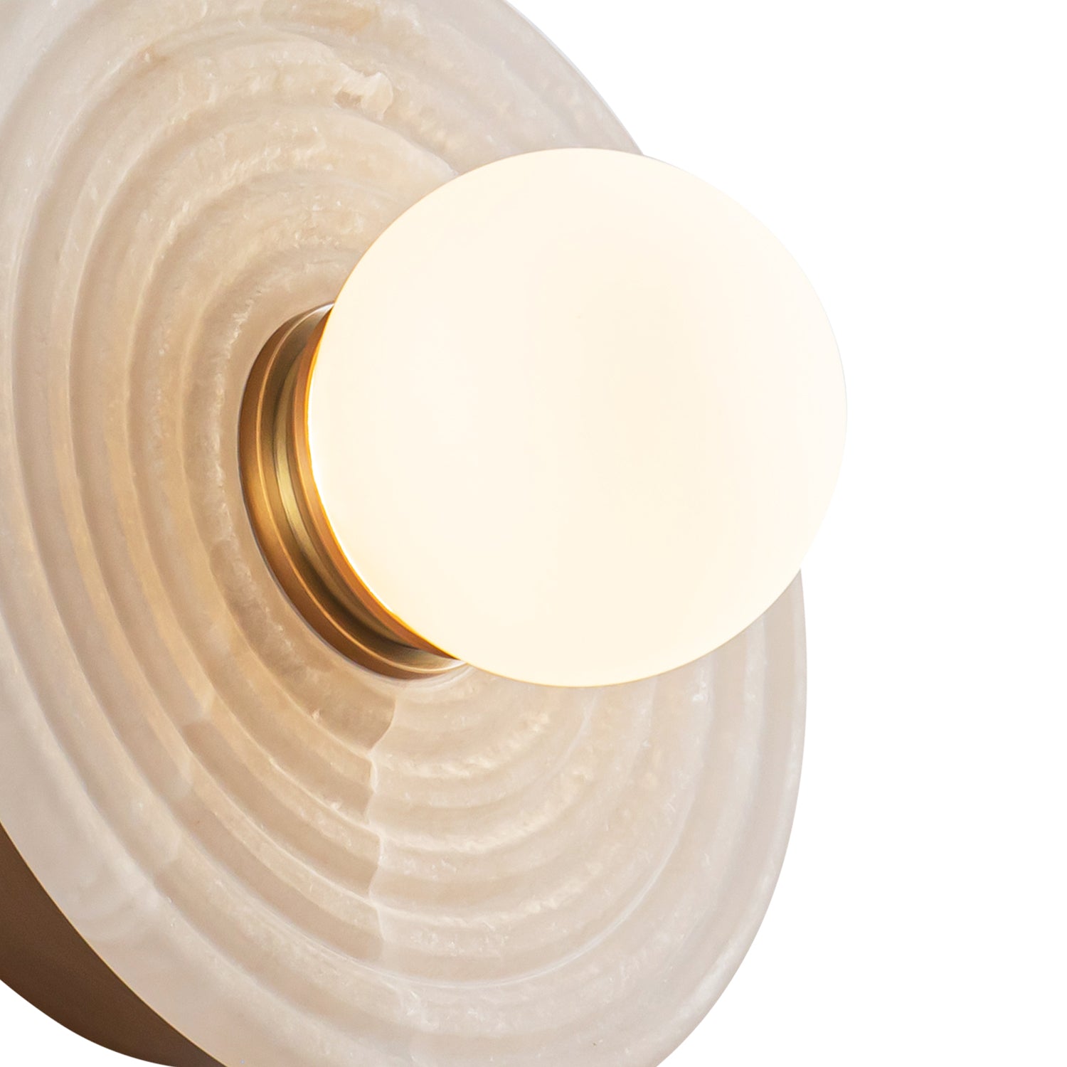 Dahlia 6-in Steel Vanity Light