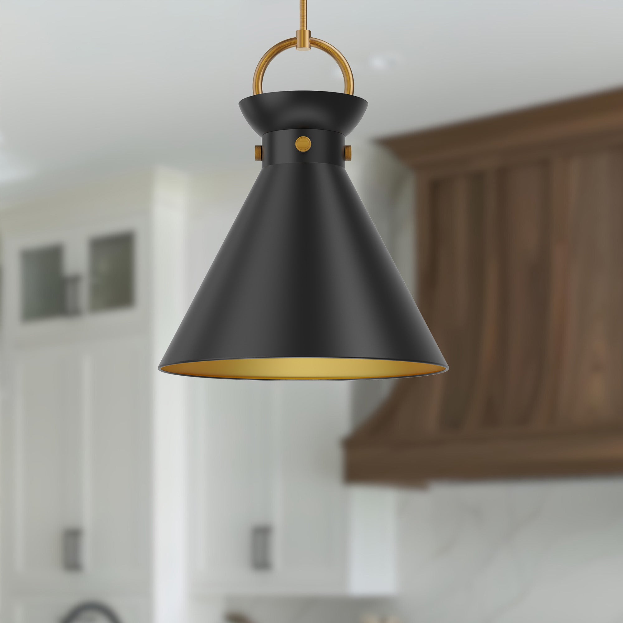 Emerson 18-in Black 1 Light Socket Pendant