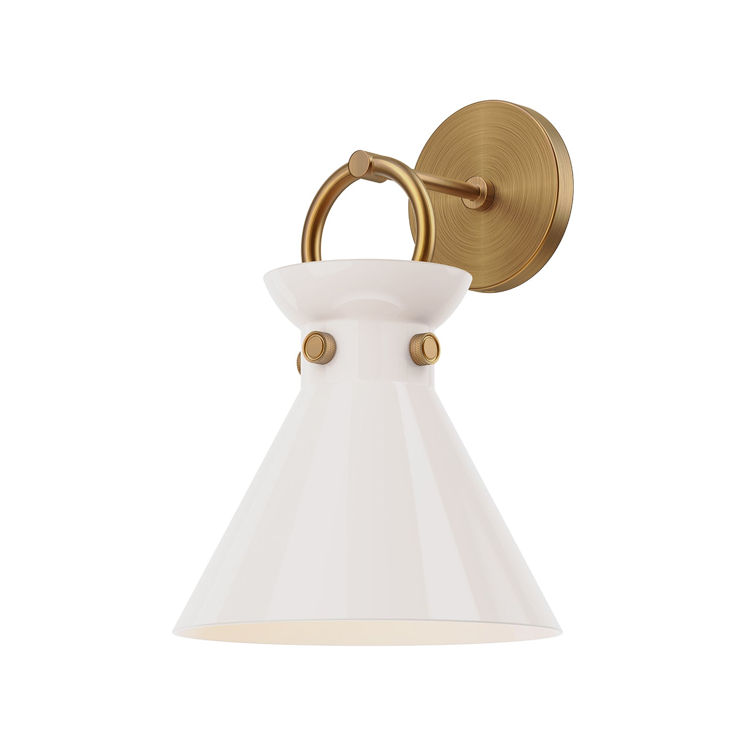 Emerson 9-in Steel Vanity Light