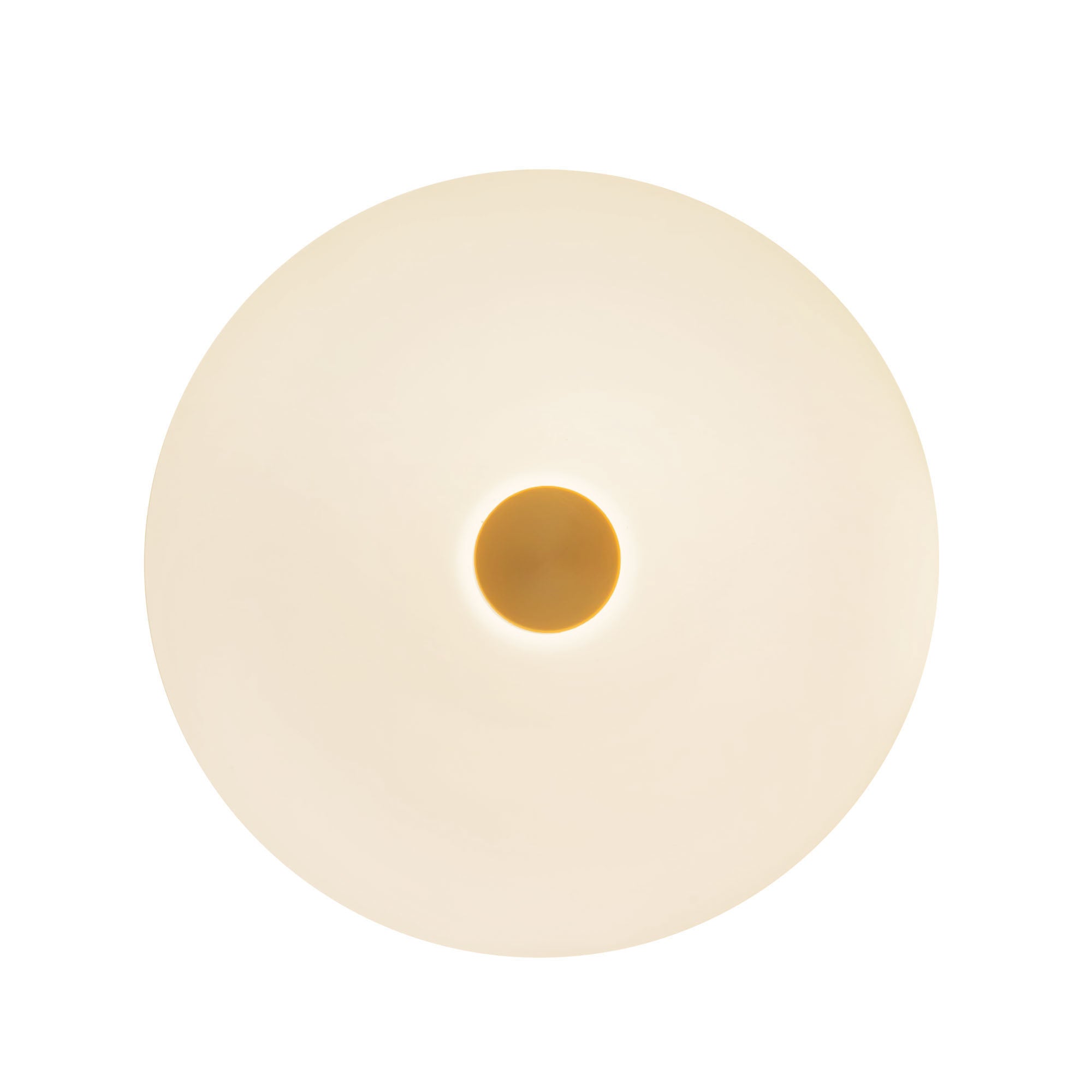 Jada 5-in Steel Wall Sconce
