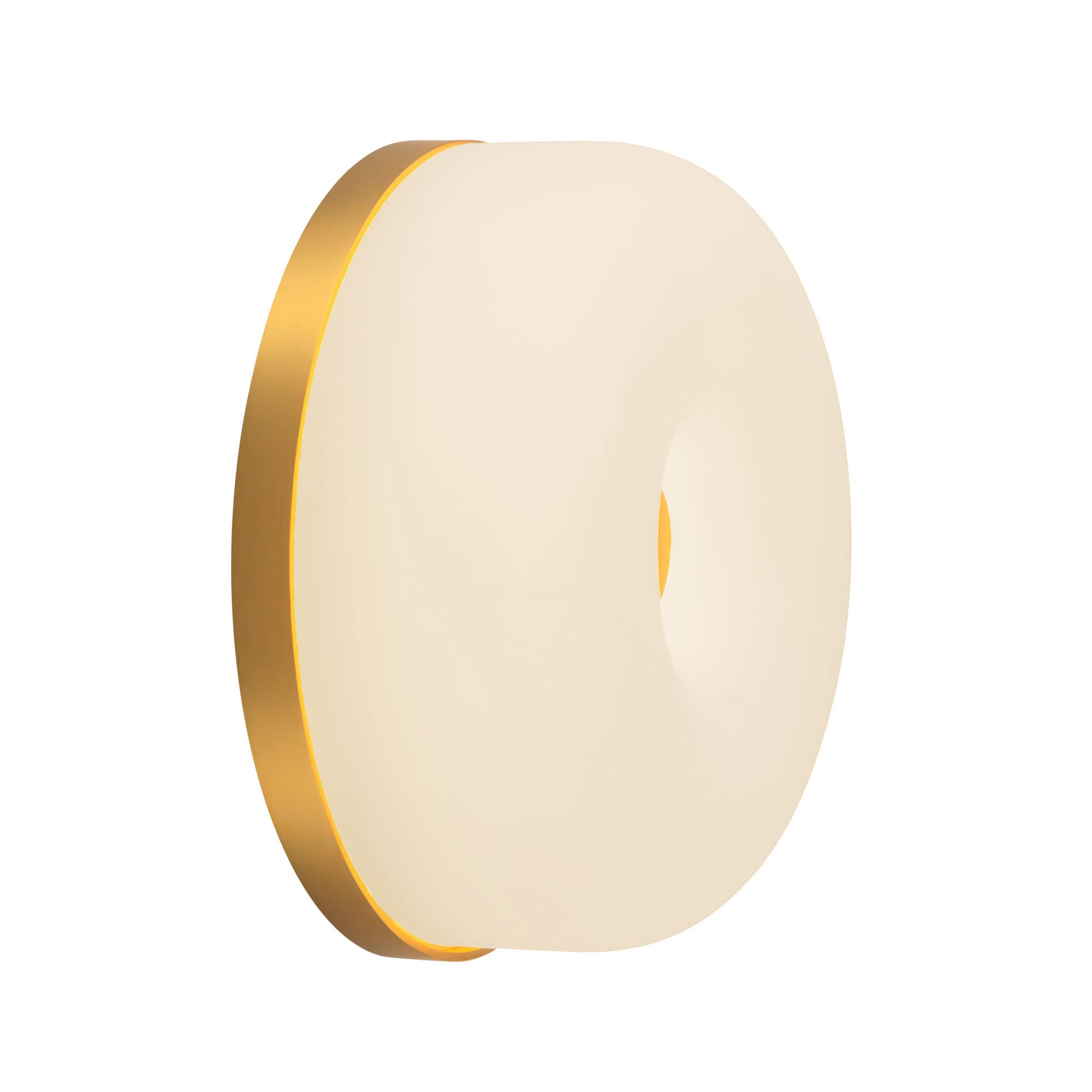 Jada 5-in Steel Wall Sconce