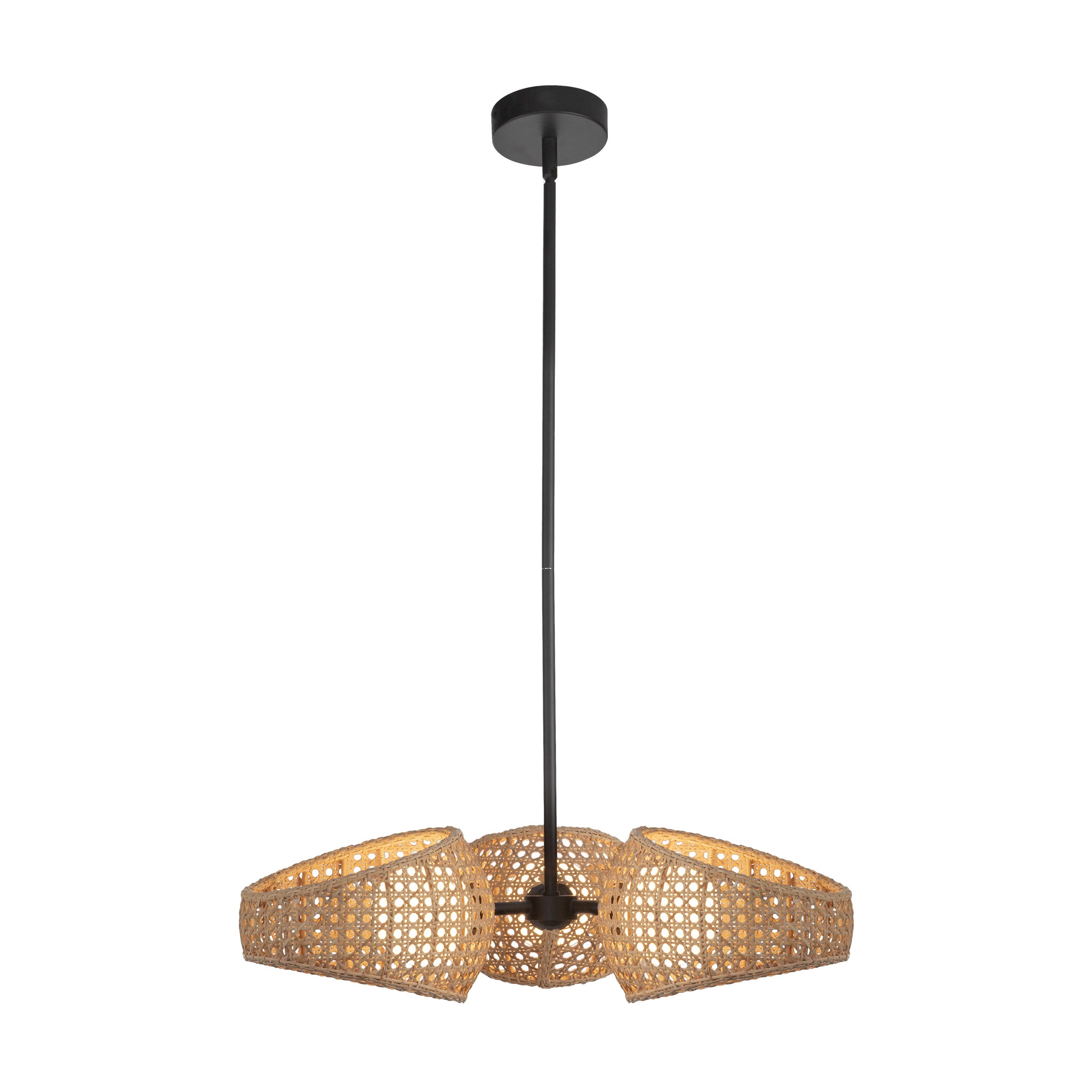 Lanai 3 Head Steel Chandelier