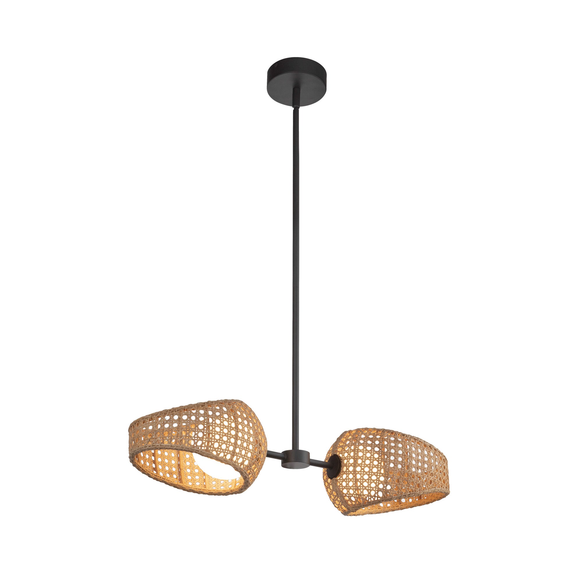 Lanai 2 Head Steel Pendant
