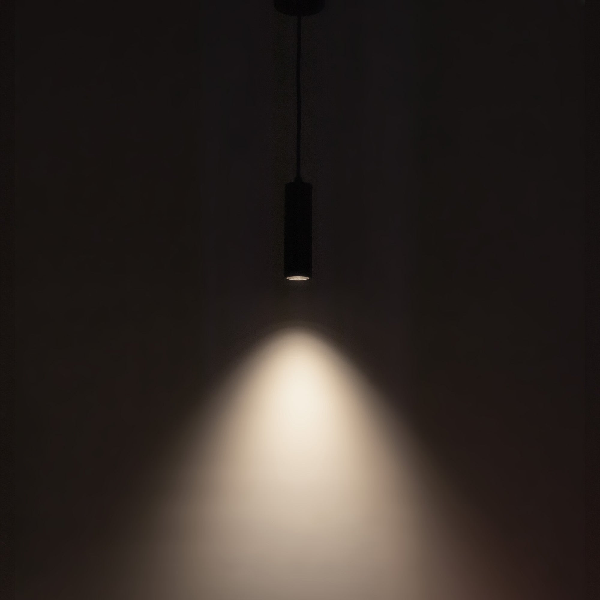 Lorna 8-in (2-in Dia.) Aluminum Pendant