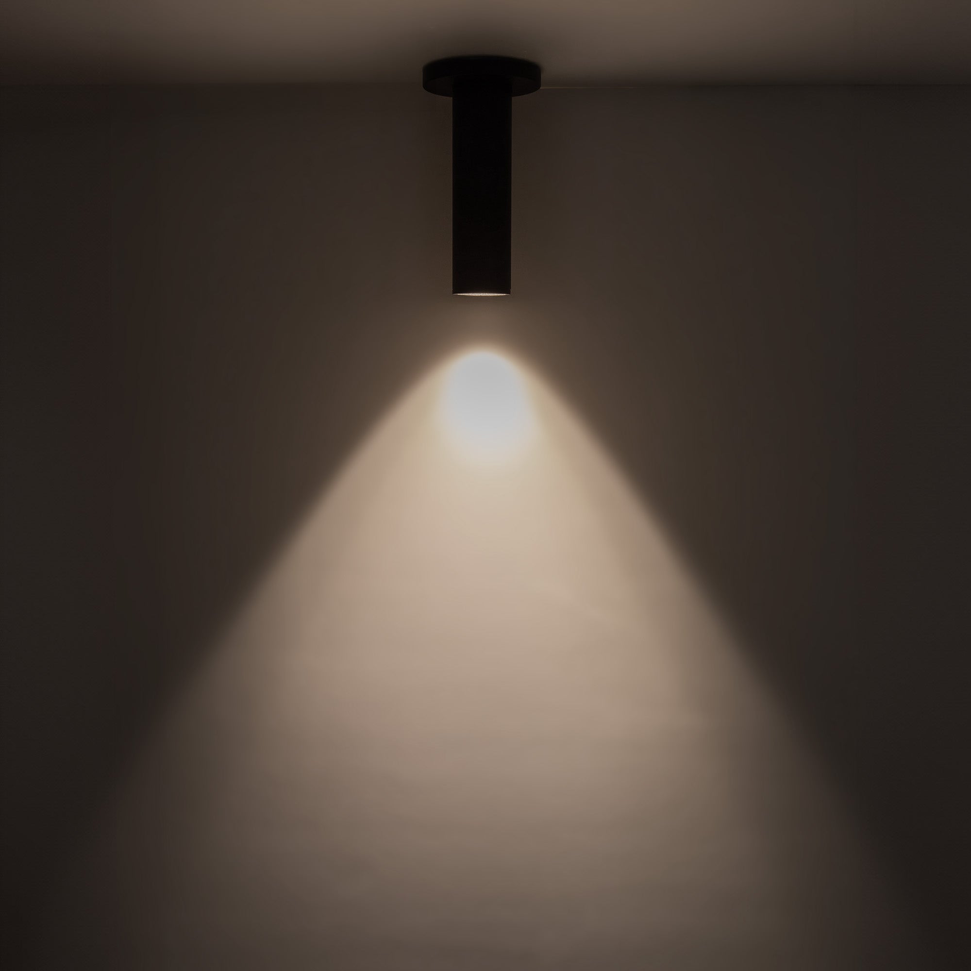 Lorna 8-in (2-in Dia.) Aluminum Flush Mount