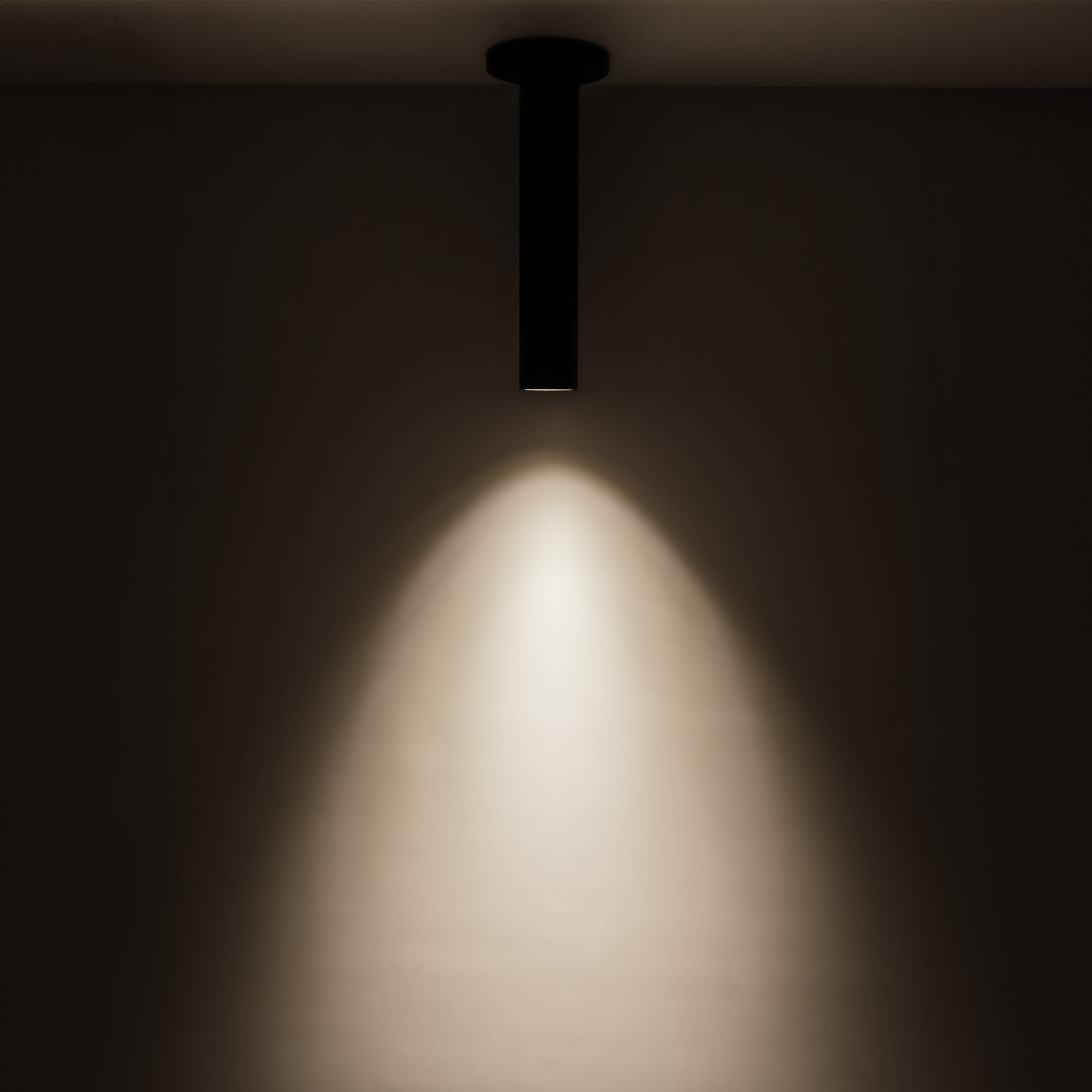 Lorna 12-in (2-in Dia.) Aluminum Flush Mount