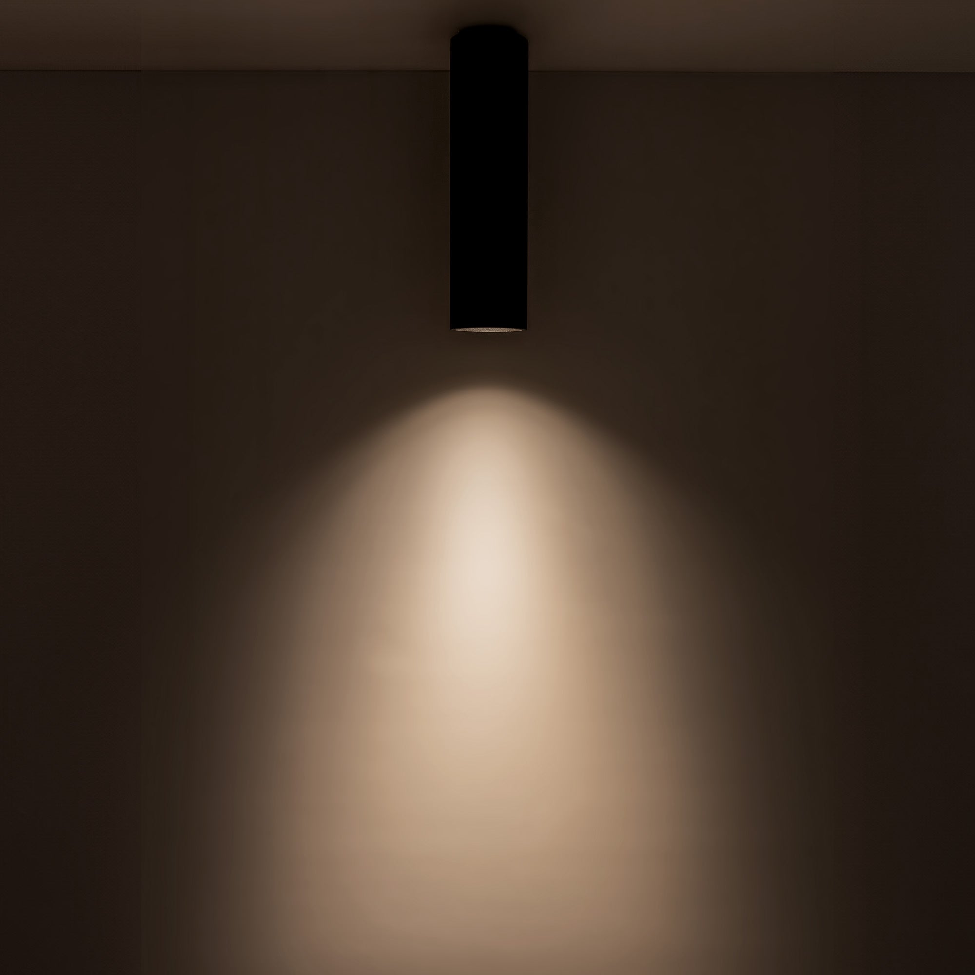 Lorna 11-in (3-in Dia.) Aluminum Flush Mount