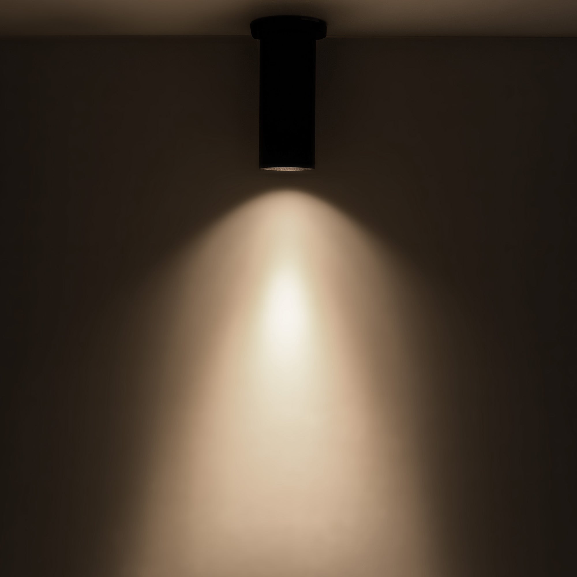 Lorna 8-in (3-in Dia.) Aluminum Flush Mount
