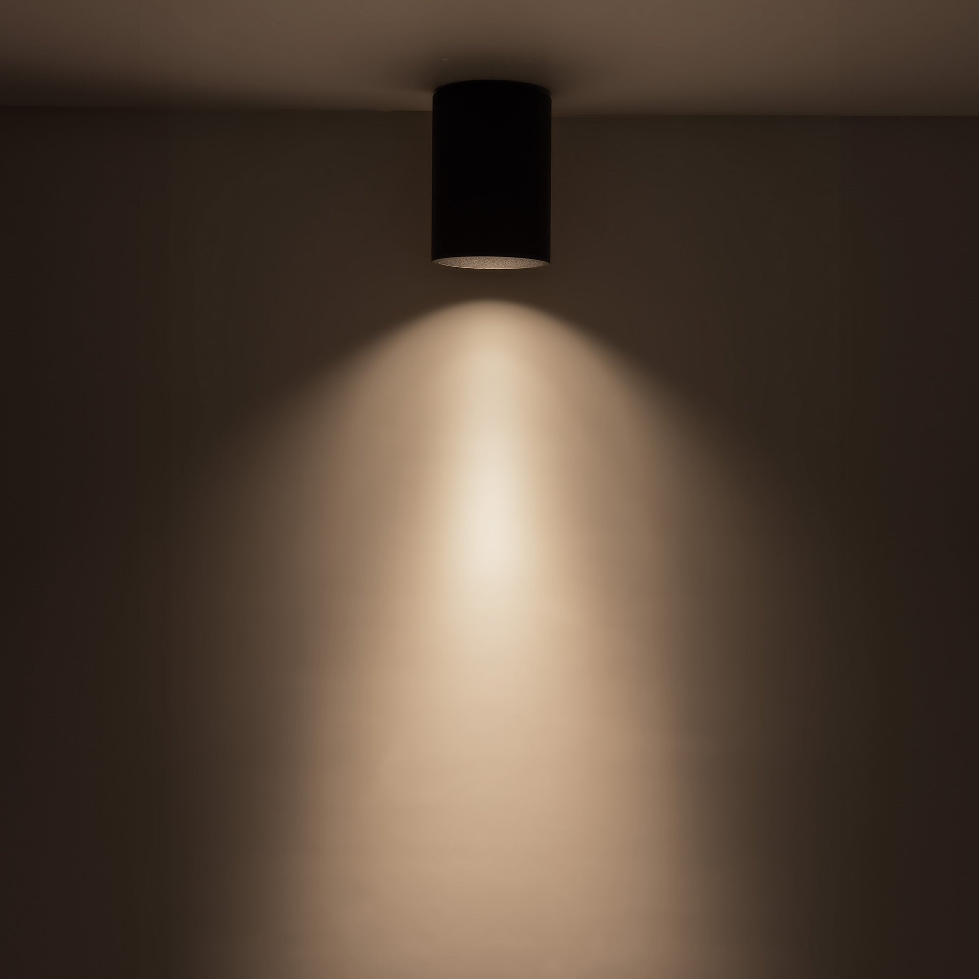 Lorna 6-in (4-in Dia.) Aluminum Flush Mount