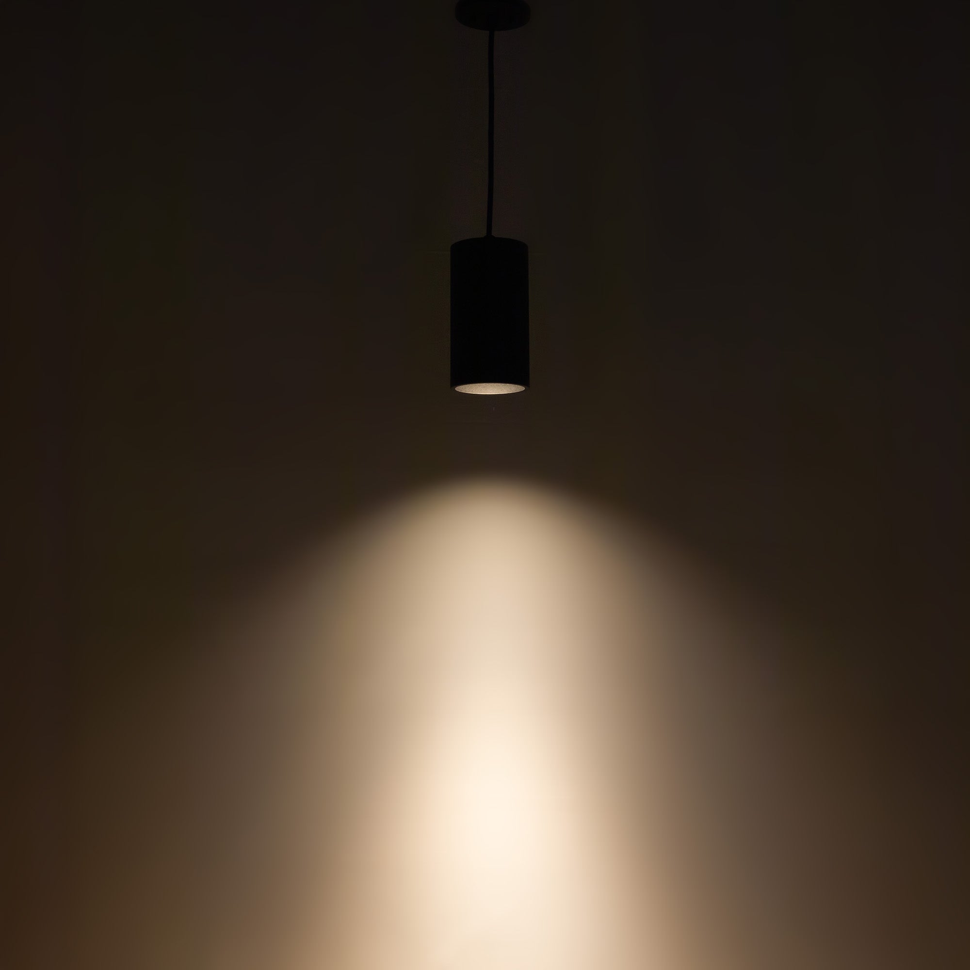 Lorna 8-in Cylinder Damp-Rated LED Pendant (4-in Dia.)