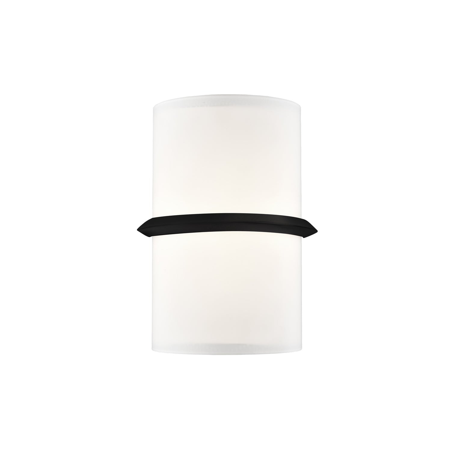Pondi 9-in Steel Wall Sconce