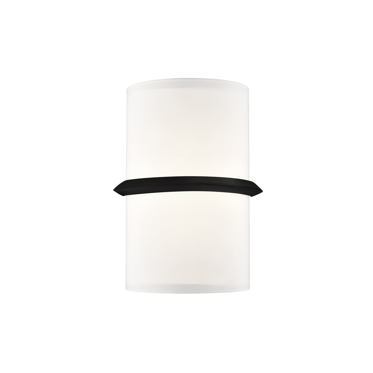 Pondi 9-in Steel Wall Sconce
