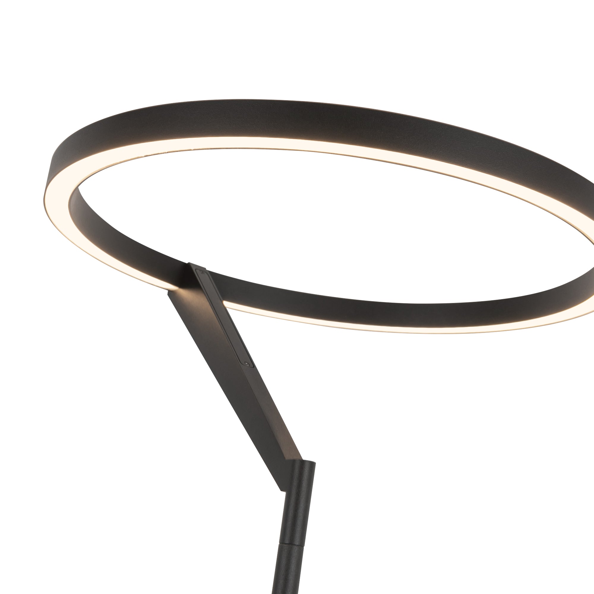 Roda 66-in Aluminum Floor Lamp