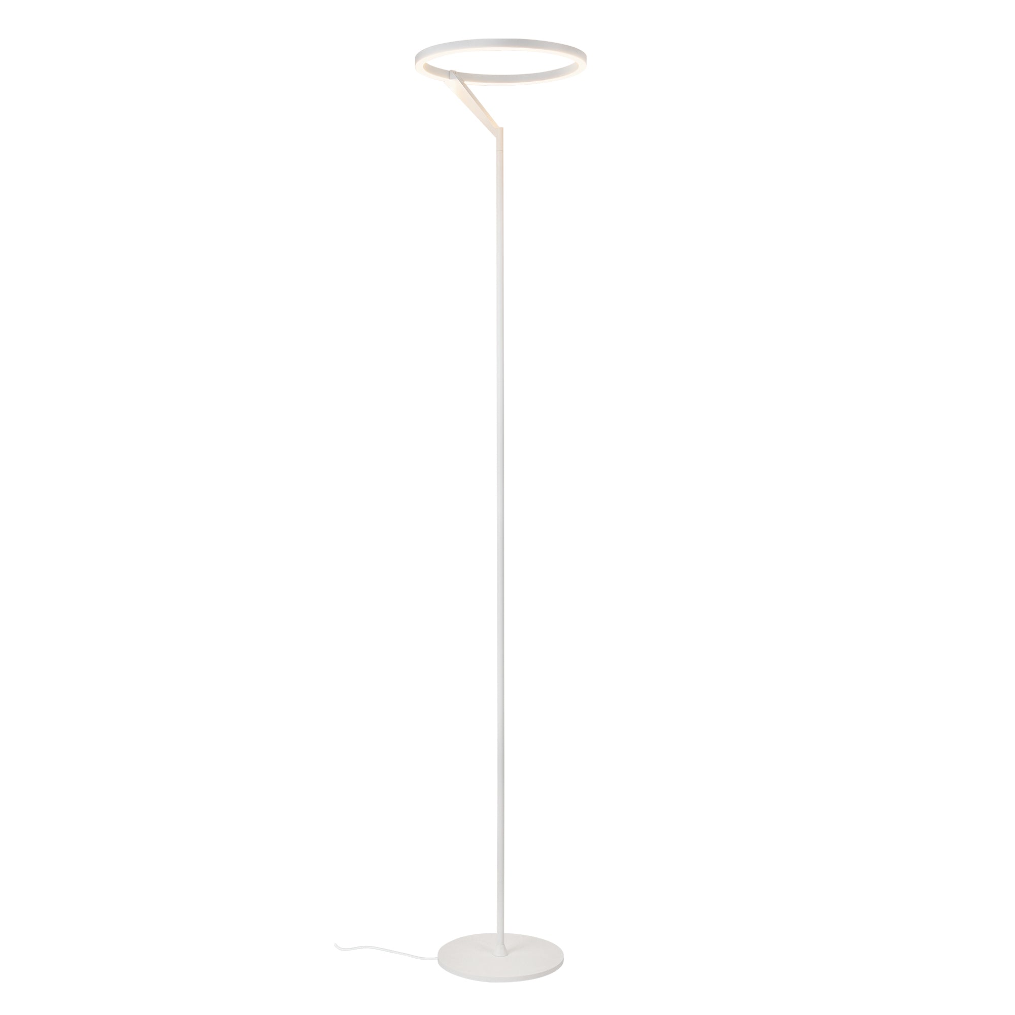 Roda 66-in Aluminum Floor Lamp