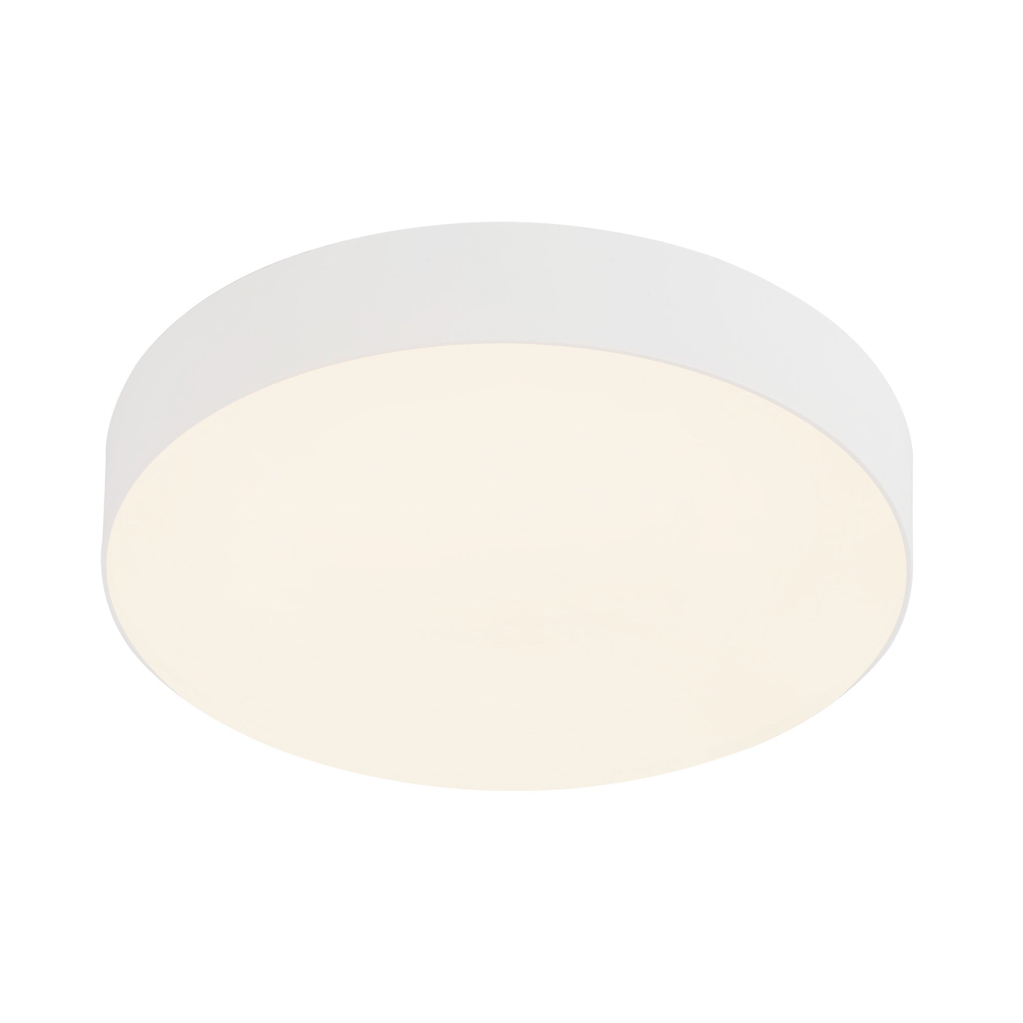 Rynn 5-in Aluminum Flush Mount