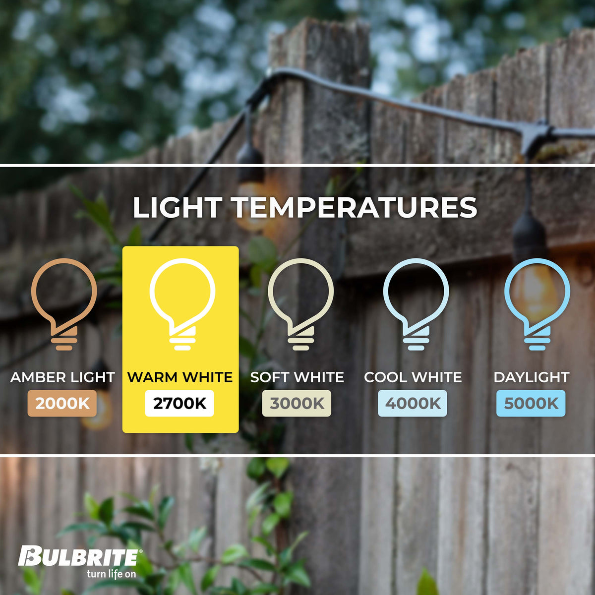 48-foot Black S14 Incandescent String Light Kit with 15 Sockets, 2700K