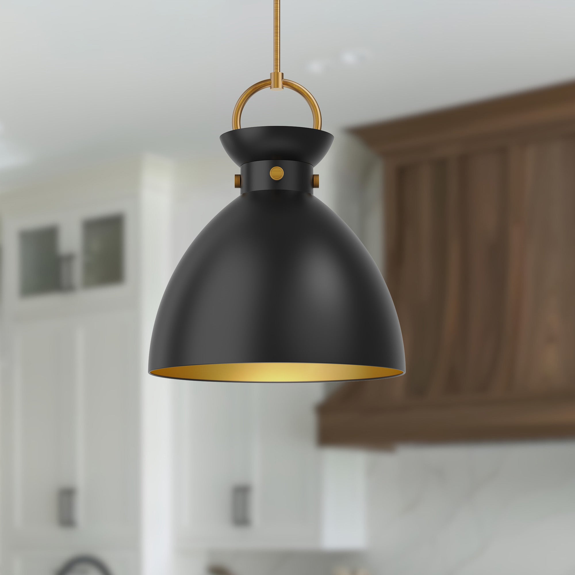 Waldo 18-in 1 Light Socket Pendant