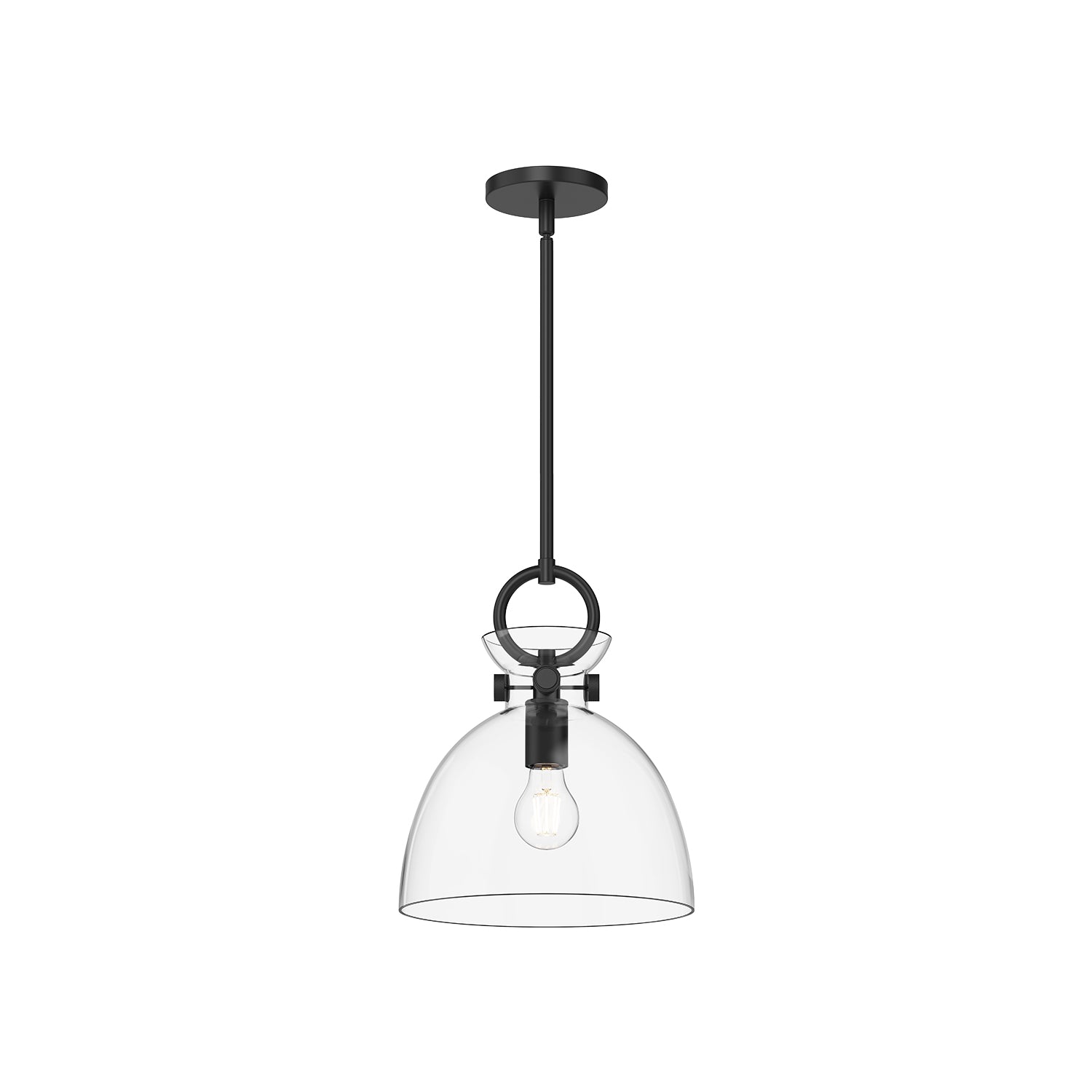 Waldo 11-in 1 Light Clear Glass Socket Pendant