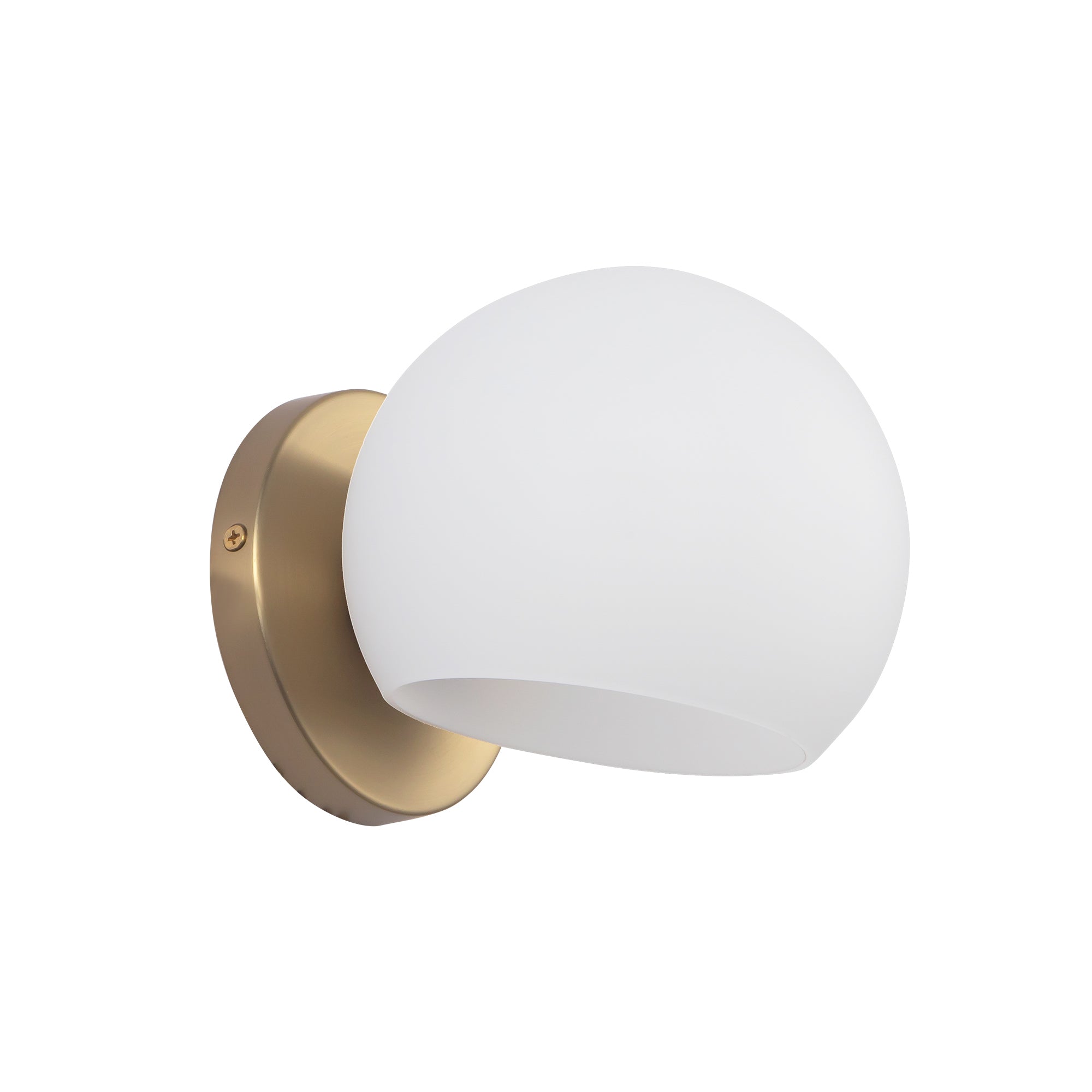Willow 6-in Steel Vanity Light 60W