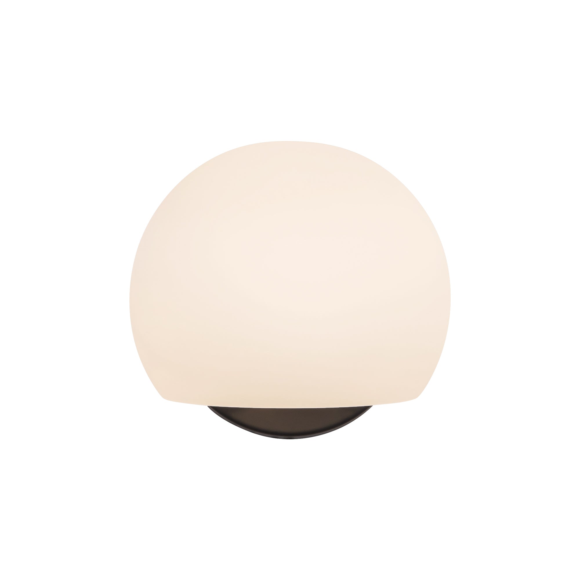 Willow 6-in Steel Vanity Light 60W