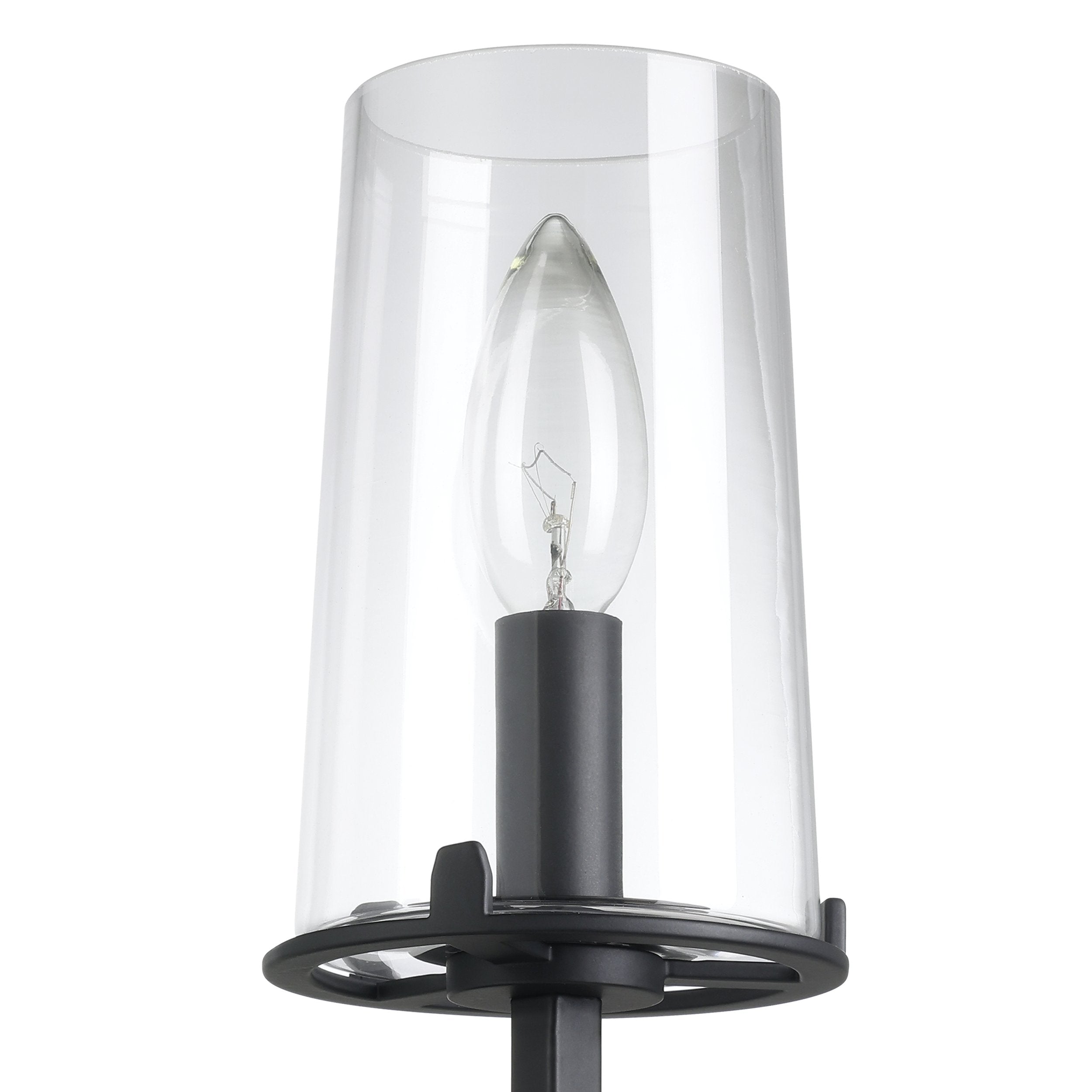 Jared 13-inch 1-light Matte Black Vanity Light with Clear Glass Shade