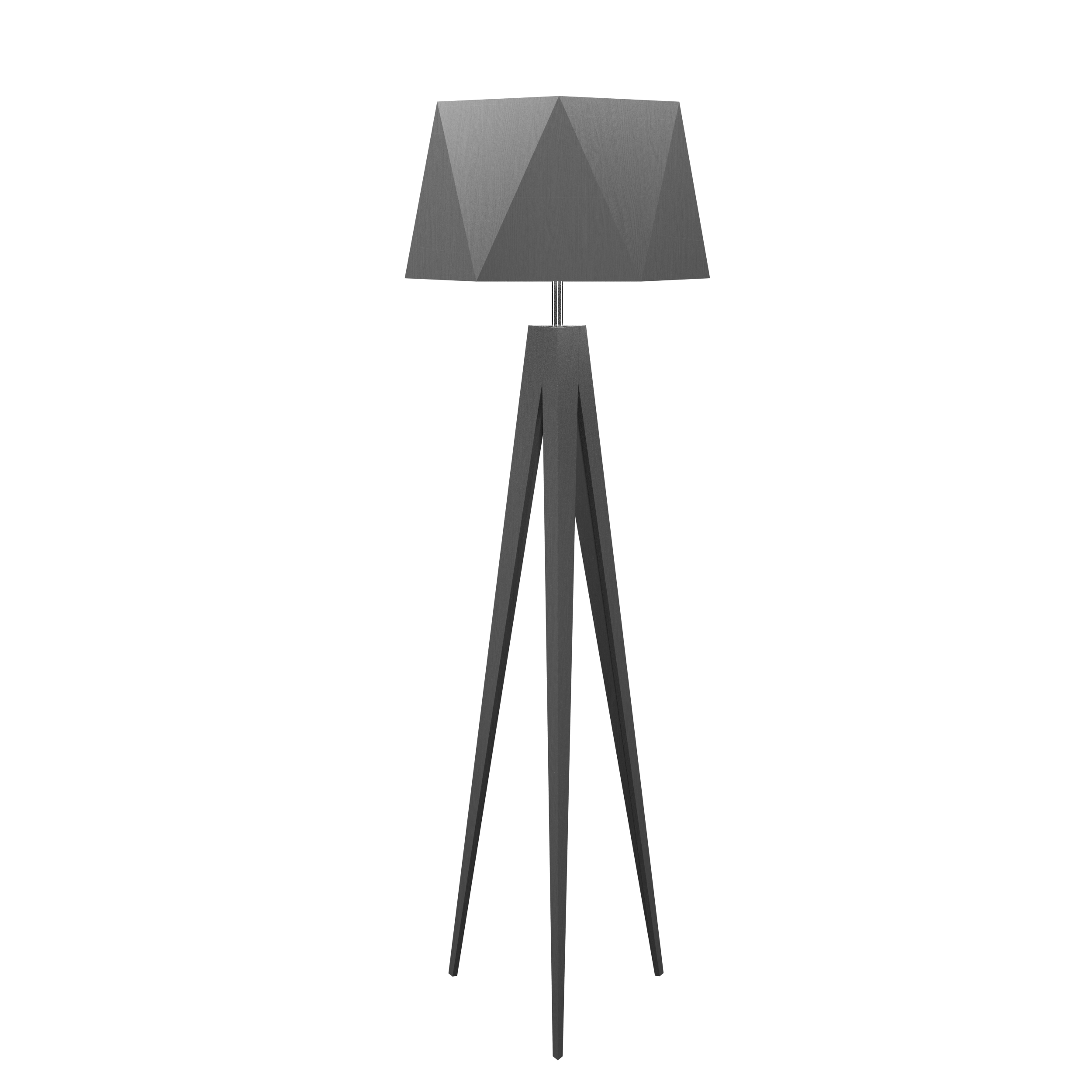 65.35'' Facet Accord Floor Lamp Light